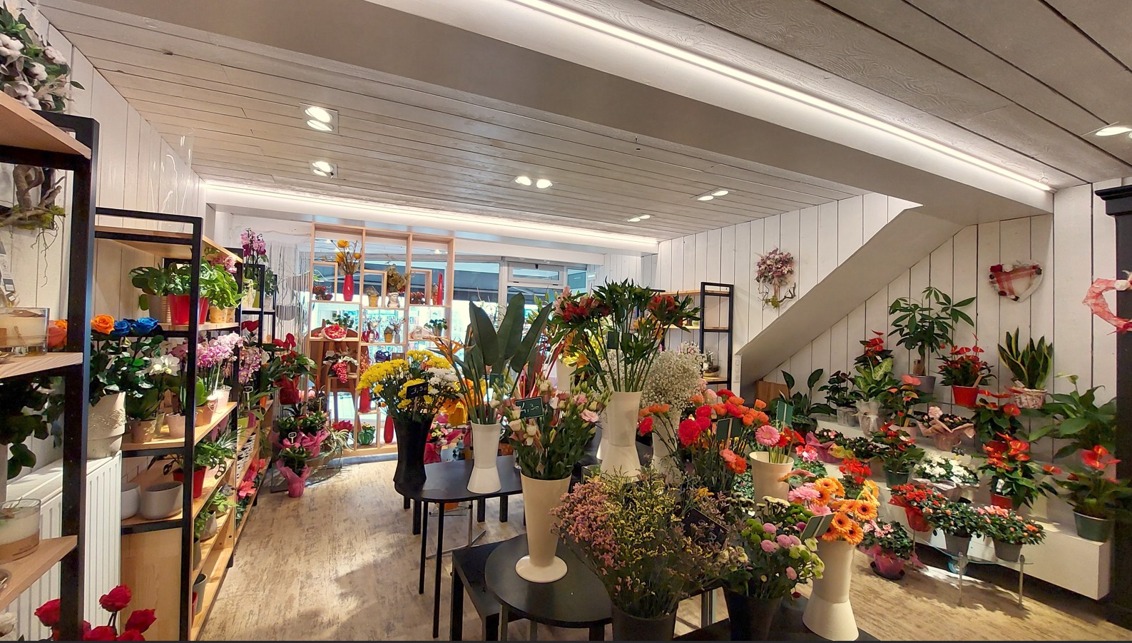 Vous êtes fleuriste, passionné(e) et à la recherche du commerce idéal ? N'hésitez plus et étudiez cette annonce faites pour vous !
Au coeur de la ville de Paray-le-Monial, riche d'un patrimoine patrimonial et spirituel, où le commerce de proximité qualitatif est plébiscité et valorisé en permanence, ce commerce vous attend !
 Rénové totalement en 2022, c'est un outil de travail au CA confortable, très positif et en constante évolution. L'installation, juste à côté d'une très belle boulangerie-pâtisserie et salon de thé, a renforcé son développement et attractivité, encore récemment.
Le commerce se compose ainsi :
- une belle vitrine et un espace extérieur aménagé,
- 45 m2 d'espace de vente climatisé,
- 1 atelier de plus de 15 m2 avec point d'eau et toilettes,
- 1 cave de 45 m2, naturellement tempérée et aménagée, idéale pour le stockage lors des temps forts (Toussaint, Noël, Fête des mères ..
- 1 cour extérieure attenante et accessible également par le côté du bâtiment.
C'est un magasin charmant, empli de fleurs fraiches, de plantes extérieures et intérieures, de petite déco et parfums d'intérieur, d'une offre qualitative de carterie.
Une offre plurielle qui a séduit une clientèle exigeante et très fidèle. 
Une salariée d'expérience accompagne la gérante passionnée depuis plus de 12 ans et sera un appui lors de votre reprise.
C'est une belle affaire à reprendre, source de revenus au sein d'une ville et territoire où il fait bon vivre et où les produits de qualité sont plus qu'appréciés !
Tradition, savoir-faire et modernité sont les atouts de cette proposition ! 
Alors n'hésitez plus et contactez-nous ! Plus de photos sur demande.