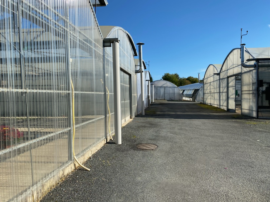 Idéalement situé dans la Haute-Vienne (87), dans une ville avec tous commerces, ce site de production horticole comprend une boutique avec vente directe de sa production.
La production est également commercialisée auprès d’autres revendeurs.
Production de plantes à massifs, de plantes fleuries (chrysanthèmes, bi-annuelles), de plants de légumes, de compositions florales. Achat/Revente terreau, poteries, engrais, articles de jardin, plantes intérieures, décorations...
Foncier : sur env. 2ha dont 9 000 m² couverts
Bâtiments :
- 6990 m² de serres dont 1503 m² serre verre, 1440 m² simple paroi et 4 047 m² en double-paroi.
- 1 360 m² de tunnel
- 445.8 m² de magasin et bureau
- 367 m² de hangar de stockage bardé sur 4 faces.
Forage de 8m3/heure
Cession de l’ensemble des équipements et matériels d'horticulture dont : voiture fourgonnette, camion 3T5 monté sur caisse, rempoteuse, transmotteuse, traiteuse, chariot élévateur, système irrigation…
Emploi : Présence de 6,5 salariés permanents à conserver.
Prix : 600 000 € hors frais (+ stocks)
Le prix est établi en fonction de la capacité d'auto-financement de l'entreprise. Le chiffre d’affaires de croisière est de 1 000 000 € (dont 650 000 € de vente sur le site et 350 000 € de vente en gros).
Tous services, écoles et commerces de proximité à moins de 1 km du site.
NB : le site ne comprend pas de maison d’habitation, mais plusieurs maisons sont en vente dans la ville.
Offre détaillée avec prix et visite sur demande.
Contacts : Olivier VIVIER ou Aurélie BRUNET
SARL O. VIVIER Conseil & Patrimoine