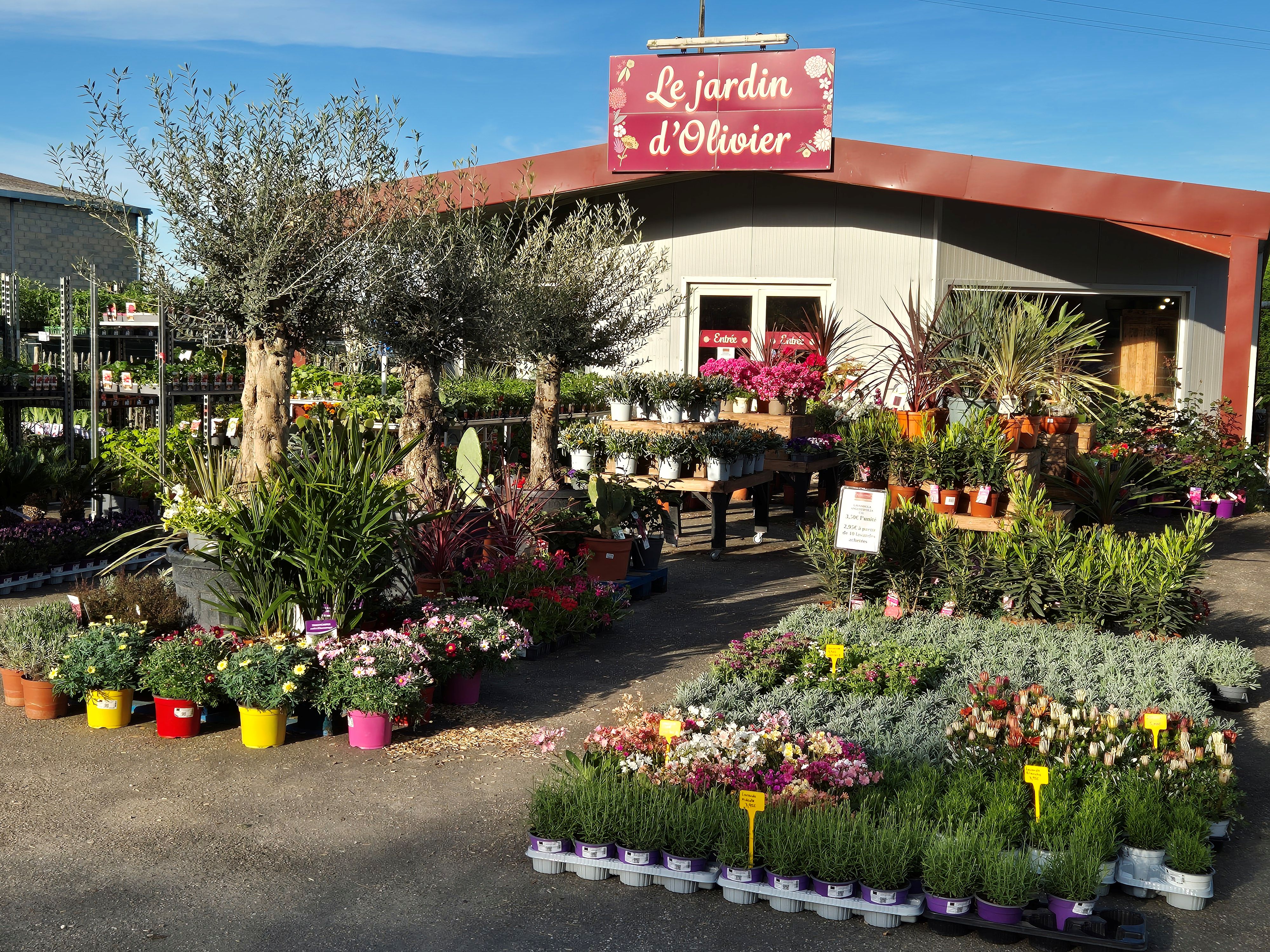 À vendre fonds de commerce de jardinerie idéalement situé à Saint-Vite (Lot-et-Garonne), en bordure d’un axe très passant avec parking clientèle.

Existant depuis 4 ans, Le Jardin d’Olivier jouit d’une excellente visibilité locale et dispose d’une clientèle variée : particuliers, professionnels, collectivités, campings…

🔹 Surface du magasin : 180 m²
🔹 Terrain attenant : 850 m²
🔹 Activités : vente de végétaux, terreaux, poteries, fournitures de jardin, etc.
🔹 Clientèle fidélisée et diversifiée
🔹 Loyer mensuel : 960 € – bail commercial en cours
🔹 Matériel et équipements inclus dans la vente
🔹 Aucun salarié à reprendre

💰 Prix de vente du fonds de commerce : 28 000 €(hors stock)
📍 Idéal pour une reprise en solo ou en couple, avec fort potentiel de développement (pépinière, produits bio, aménagements paysagers, etc.).