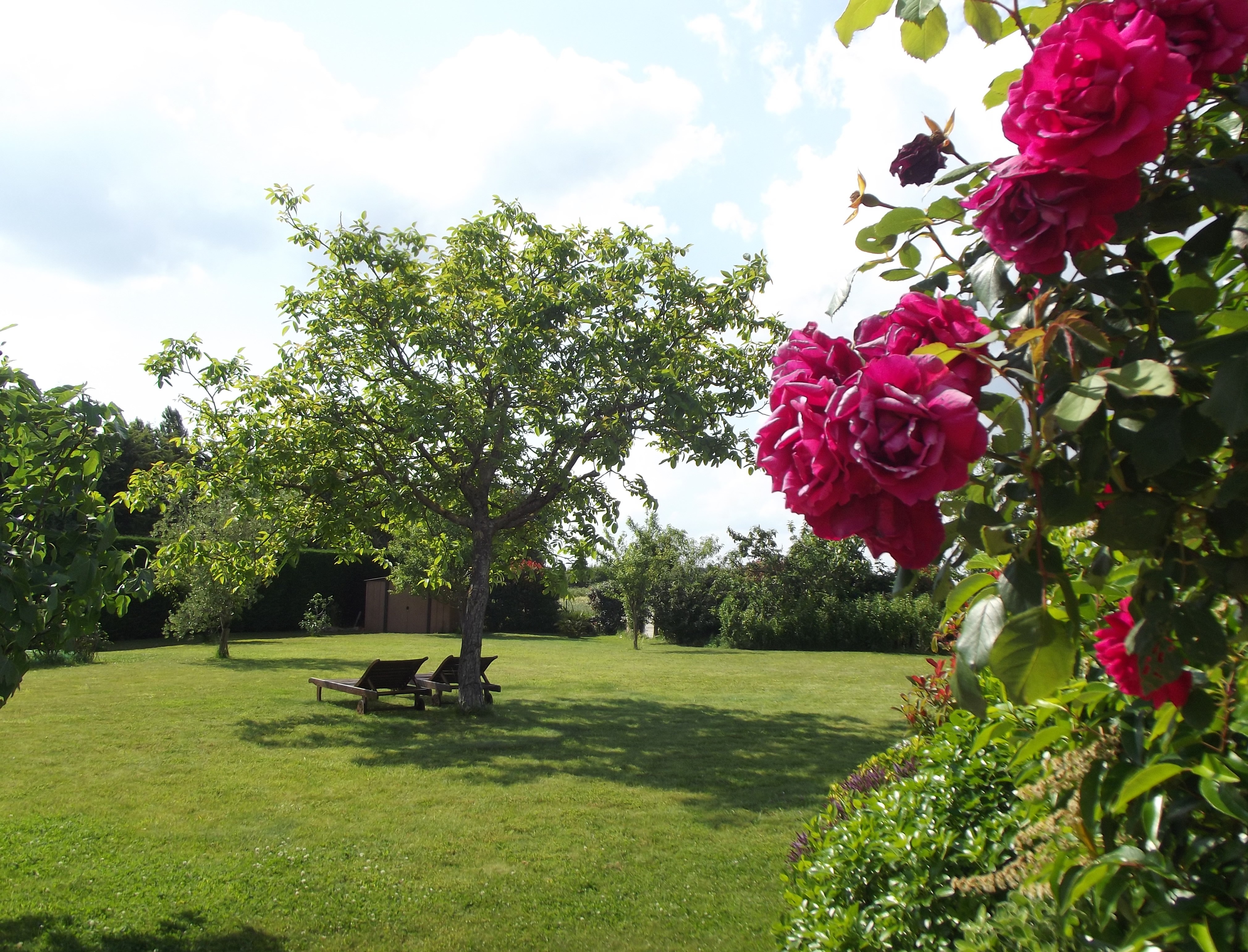 Gîte d’une capacité de 15 personnes + 1 partie Habitation pouvant être également loué en gite, le tout sur une surface habitable de 430 m² avec un terrain clos et paysagé de 3527 m² dans le Bocage Vendéen à 20’ du Puy du Fou , 40’ des Sables d’Olonne et du Marais Poitevin .
L’activité actuelle de Gîte peut-être facilement transformée en Chambres d’Hôtes avec le Label Tourisme et Handicap.