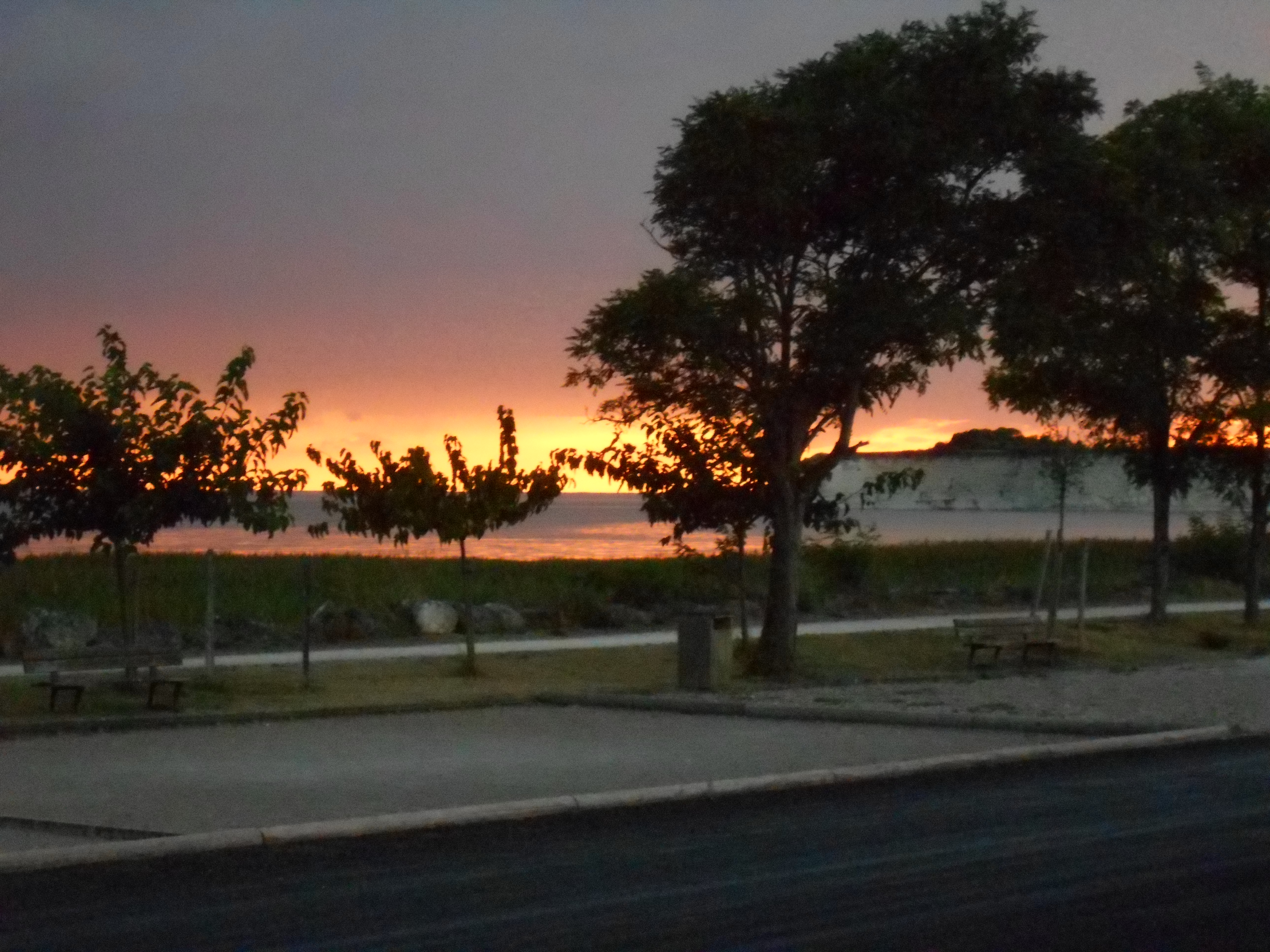 Le balcon de l'estuaire
Restaurant,bar multi services
Licence 4 situé a Barzan plage
Splendide vue sur l'estuaire de la gironde
Parking ,voitures,bus
A saisir opportunité pour personnes motivées,bel établissement appartenant a la mairie d'une capacitée de 40 couverts et grande terrasse sur l'estuaire.
Stationnement camping cars , 2 campings a proximité et site du Fa
Royan a 15 minutes
Fond de commerce 120 000 £  Loyer Mairie 1250 £ Bail commerciale 3/6 /9
.