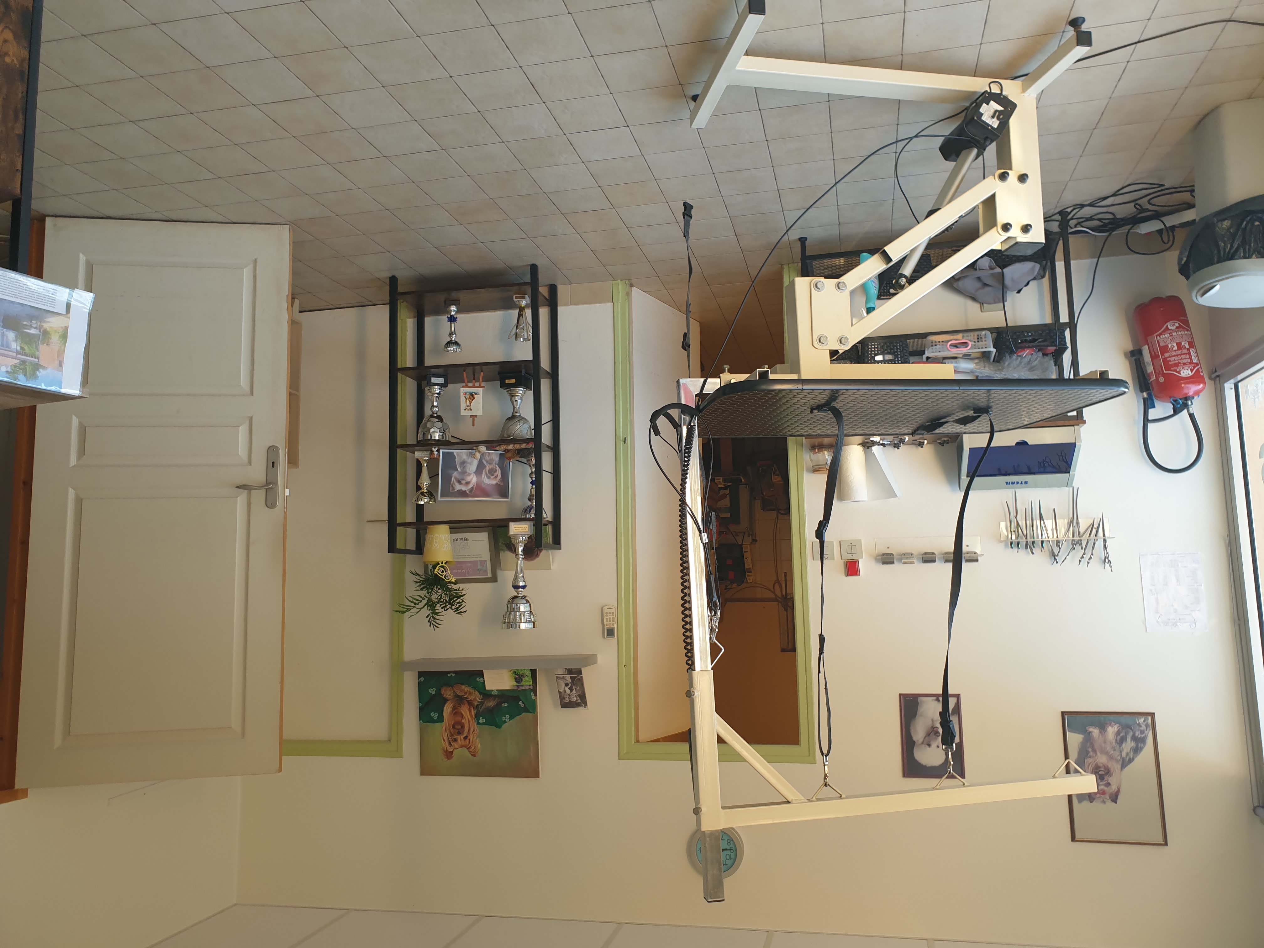 A vendre salon de toilettage situé sur une commune de 3000 habitants de l agglomération Bergeracoise. 
Bon emplacement au cœur du centre ville avec parking devant l'établissement autres commerces à proximité. Le local est exploité depuis 17 ans par la même gérante le local appartient à la mairie de la commune avec une superficie de 47m2 il comprend deux espaces de toilettage climatisé clientèles fidèles et toujours de nouveaux clients vend fond de commerce pour départ à la retraite  merci 
Pour tout contacte 
0647853157