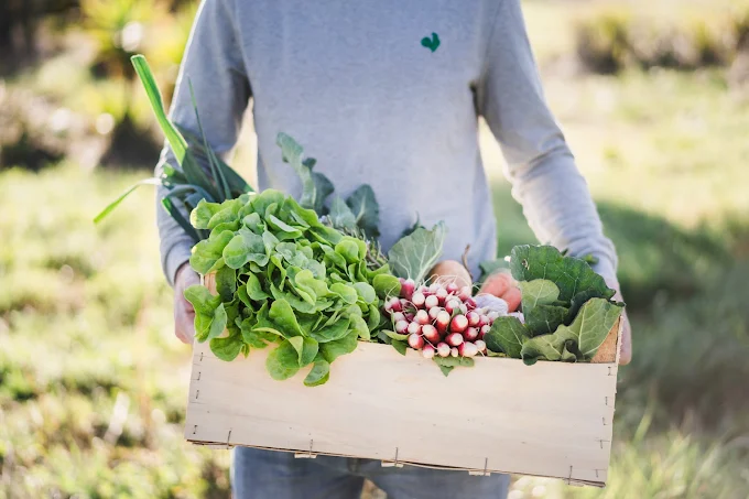 A VENDRE ACTIVITE DE VENTE EN LIGNE ET LIVRAISON DE PRODUITS LOCAUX directs producteurs à Perpignan et agglomération. Pionnière, depuis 2014 et fortement ancrée localement, la vente s'effectue principalement via un site internet en plein propriété, marque déposé à INPI. Solidement référencé dans le département (66). Le service de livraison propre à l’entreprise est apprécié et novateur (livraison à vélo à Perpignan via prestataire), garantit une approche écoresponsable. Pas de local à disposition, toute la logistique pouvant être réalisée à domicile. Clientèle locavore fidèle et diversifiée : particuliers (90%), entreprises et restaurants (10%). Malgré une réduction d'activité depuis 2022 pour des raisons personnelles, l'entreprise présente un CA annuel moyen de 65000€. Prête à être relancée, cette entreprise prometteuse, compte un fichier client de 300/400 contacts. Elle offre une opportunité rare de reprendre une activité dans le secteur en plein essor des produits locaux.  Prix de vente 15.000€