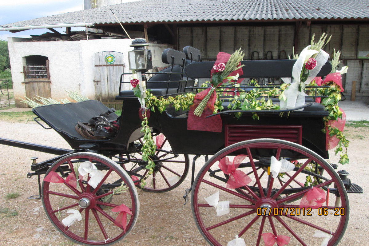 Nous aimerions transmettre notre passion "attelage " dans un très beau cadre et belle situation touristique.
A reprendre  5 chevaux et tout le matériel :Harnais ,calèches , tracteurs  et matériels d?élevage.(valeur totale de la reprise : 60000 ? )
A louer  sur place une maison d'habitation + un bâtiment agricole (700m² ) + 10 hectares de pâturage.