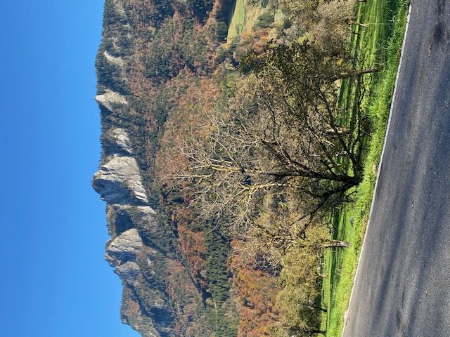 A saisir belle opportunité !

Située en Haute-Savoie, dans le Chablais, entre lac et montagnes, au cœur de la vallée du Brevon, à 20 mn de Thonon Les Bains et 30 mn de Morzine, à 35 mn d’un accès à l’autoroute A41, Vailly est une commune dynamique qui bénéficie d’un cadre de vie de qualité dans un environnement préservé et authentique.  

L’auberge communale « Le Billat » est très connue dans le Chablais et au-delà depuis de nombreuses années, elle dispose d’une salle d’environ 40 couverts, d’une belle terrasse à fort potentiel, d’un parking à proximité véritable atout pour l’accueil de la clientèle locale et touristique. L’établissement a été entièrement rénové en 2017, la liste du mobilier et du matériel mis à disposition est communicable sur demande.

Ce commerce est idéal pour un couple de restaurateurs avec expérience. Possibilité de louer un T4 à moins de 3 km.

Redevance mensuelle 900€ HT 
Dépôt de garantie 1 800€ à la signature du contrat.

Modalités d’attribution
Le futur exploitant sera choisi sur les critères définis dans le dossier de candidature.

Retrait du dossier de candidature
	Par téléchargement sur le site de la commune : https://vailly74.fr/
	Le dossier est aussi disponible par voie électronique sur demande :
Contact : mairievailly@wanadoo.fr
	Version papier à retirer sur demande à :
Mairie de Vailly - 3 Route de Thonon - 74470 VAILLY   - Tél : 04 50 73 80 07

Date limite de dépôt du dossier de candidature 
Lundi 2 décembre 2024 – 17H 00