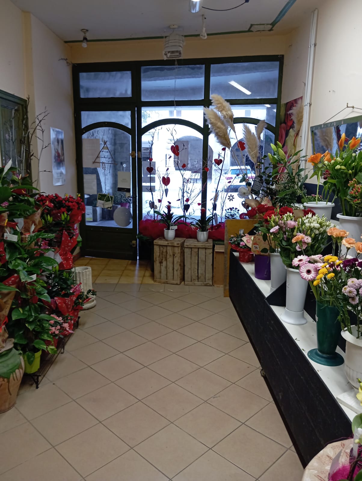 Type d'activité : Fonds de commerce de fleurs
Localisation : place du marché, 26170 Buis les Baronnies
Surface : Local de 70m²
Loyer mensuel : 650€

Description :
Idéalement situé à Buis les Baronnies, fonds de commerce bénéficiant d'une belle visibilité et d'une clientèle fidèle. La boutique dispose d'une jolie vitrine, d'un espace de travail fonctionnel et d'une zone de stockage (20m²).

Equipement inclus :
Chambre froide, présentoirs, mobilier, imprimante deuil...
Stock inclus selon accord.

Motif de la vente :
Départ à la retraite.

Affaire clé en main idéale pour un(e) passionné(e) !