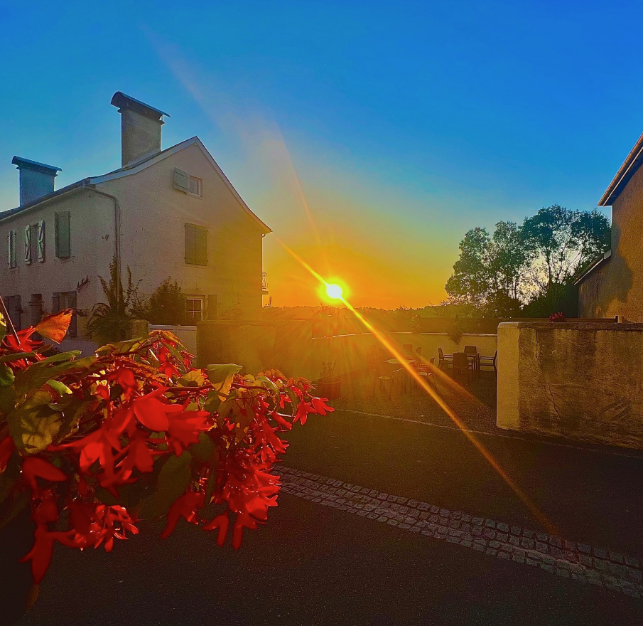 Bosdarros est une commune rurale située dans les Pyrénées-Atlantiques, à une douzaine de kilomètres au sud-est de Pau, au cœur du Béarn.  
Elle compte environ 984 habitants (population municipale 2025).   
La commune bénéficie d’une vie associative très dynamique, avec plus d’une  dizaine d’associations sportives, culturelles, sociales et intergénérationnelles.  Les temps forts locaux incluent fêtes de village, manifestations sportives et animations culturelles portées par ces associations.    
Sur le plan touristique, Bosdarros offre un cadre naturel vallonné avec vues sur les Pyrénées et des sentiers de randonnée.   
Son principal site patrimonial est l’église Saint-Orens, inscrite à l’inventaire des monuments historiques. La commune accueille un circuit de chasse au trésor (Terra aventura) porté par la Région Aquitaine ainsi qu'un parcours accrobranche. 
La proximité des vignobles du Jurançon et de Pau renforce son attractivité touristique.  
L’économie locale repose sur un tissu de petites entreprises, l’artisanat, l’agriculture et les services de proximité.


Le local : 
1/ Un bâtiment principal en bordure sur rue comprenant :
- Au rez-de-chaussée : un local multiservice de 237,85 m² comprenant un bar et un restaurant
- Au 1er étage :
       Un appartement d’environ 62,70 m² comprenant :
       Une salle de bain
       Deux chambres
       Un bureau
       Salle de restaurant et lingerie, le tout pour environ 56,55 m²
- Au 2ème étage : une chambre avec douche et WC de 14 m²

2/ Un bâtiment professionnel en annexe


Contrat proposé : ​ 
Sous location des éléments composant le café (local, matériel, Licence IV ...).  

Aspects financiers : ​ 
- Apport financier pour stock produits et trésorerie initiale à prévoir​ 
- Dépôt de garantie : 500 € 
- Redevance mensuelle : 1100 € 

Profil de gérant recherché : ​ 
- Vous possédez des vraies qualités de commerçant et une vive volonté d’entreprendre. ​ 
- Vous souhaitez vous engager en faveur de la ruralité et en comprenez les enjeux. ​ 
- Vous justifiez d’une expérience significative dans le secteur de la restauration et maitrisez les techniques culinaires essentielles, ainsi que les normes d’hygiène et de sécurité.​ 
- Vous avez des bases solides en gestion et faites preuve de rigueur et d’organisation.