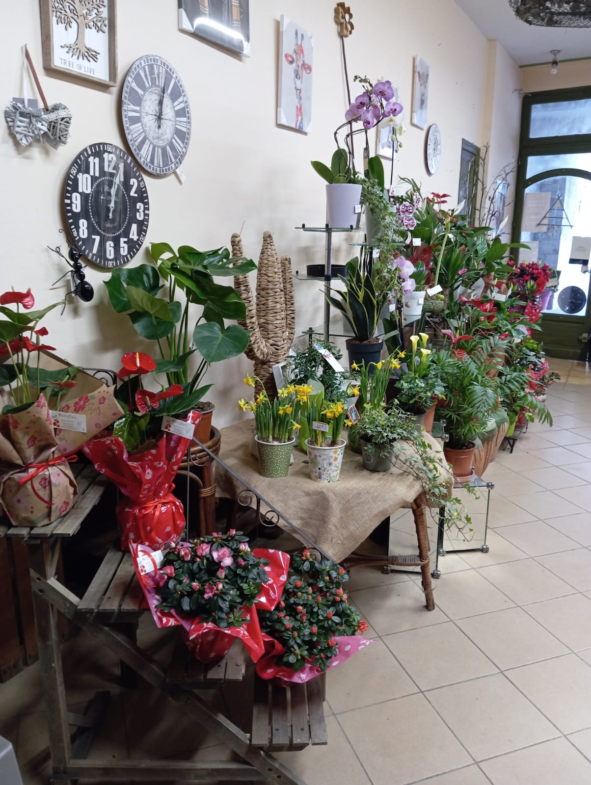 Type d'activité : Fonds de commerce de fleurs
Localisation : place du marché, 26170 Buis les Baronnies
Surface : Local de 70m²
Loyer mensuel : 650€

Description :
Idéalement situé à Buis les Baronnies, fonds de commerce bénéficiant d'une belle visibilité et d'une clientèle fidèle. La boutique dispose d'une jolie vitrine, d'un espace de travail fonctionnel et d'une zone de stockage (20m²).

Equipement inclus :
Chambre froide, présentoirs, mobilier, imprimante deuil...
Stock inclus selon accord.

Motif de la vente :
Départ à la retraite.

Affaire clé en main idéale pour un(e) passionné(e) !