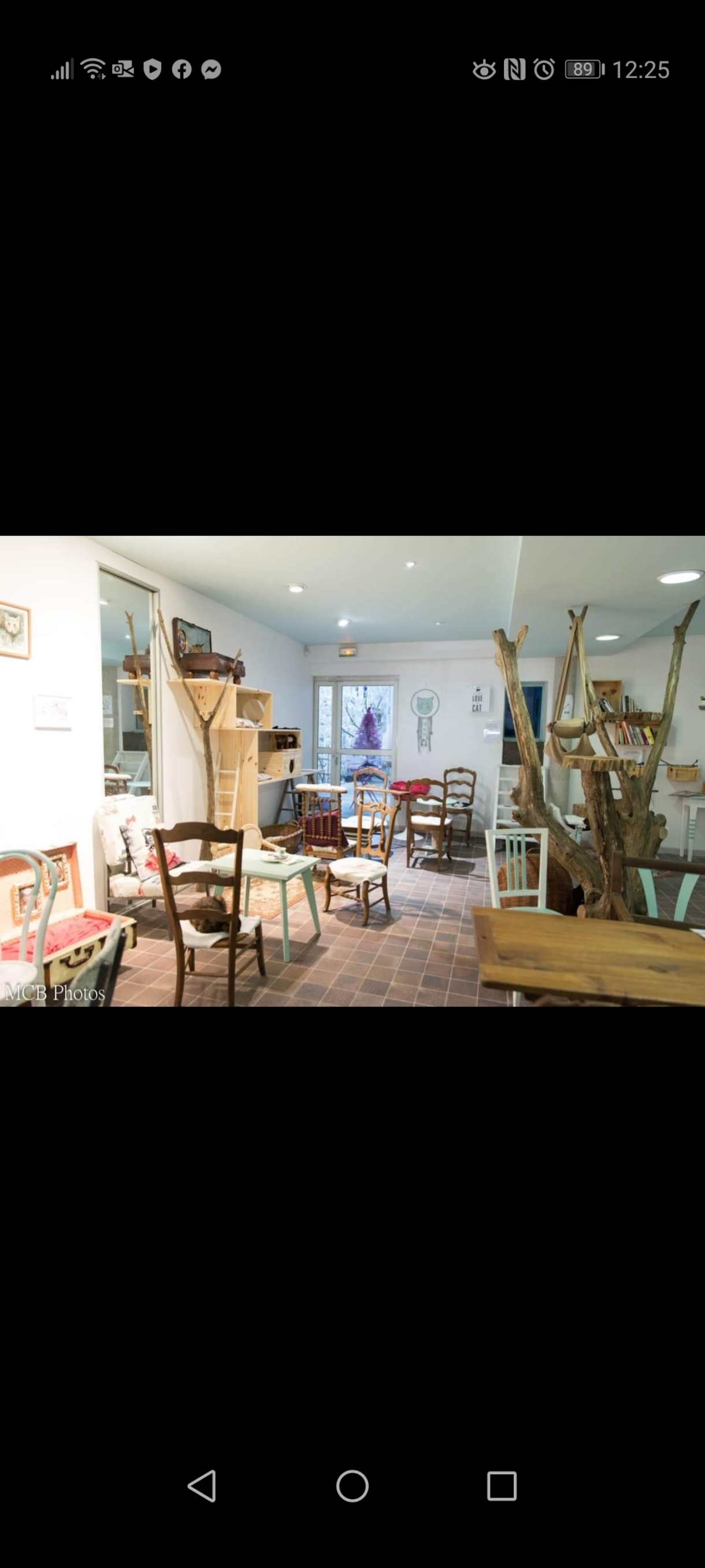 Nous vendons notre bar à chats car nous avons l'âge de la retraite. C'est un concept unique et innovant. Nous sommes ouverts de 9h à 18 h du mardi au samedi. Nous proposons des plats maison pour le repas du midi et des pâtisseries maison tout au long de la journée. Nos chats sont à l'adoption sous couvert d'associations locales et vous pouvez interagir avec eux et bénéficier de la ronron thérapie. Si vous ne le souhaitez pas, une partie est sans chats.  nous accueillons des artisans à la journée ou au mois. Nous disposons de 3 salles qui sont louées à des thérapeutes, pour des cours ou autres réunions. Nous avons la possibilité de faire des conférences le soir et aussi cours de Yoga, gym ou autre. Possibilité de faire une terrasse devant le bar à chats. Une cour intérieure existe déjà.