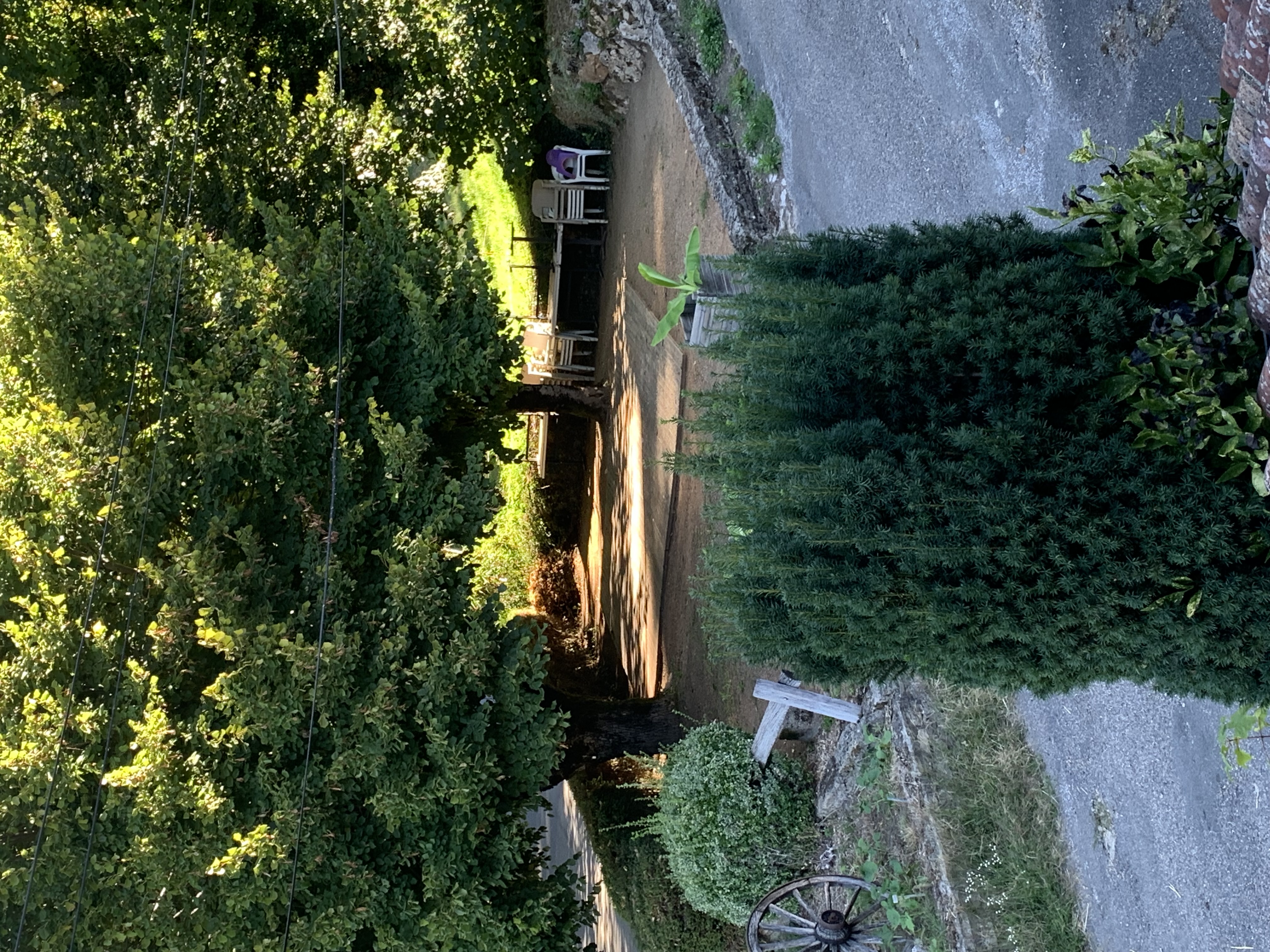 Vente des murs d’un ancien hôtel de 7 chambres et d’un ancien restaurant avec 3 chambres d’hôtes et un appartement de fonction de 100m2 et 4 chambres + grand salon. Terrain arboré de 2000m2 avec emplacements de parking privatifs!
Fermé actuellement à reprendre totalement mais sans aucun travaux à faire, équipement complet inclus.