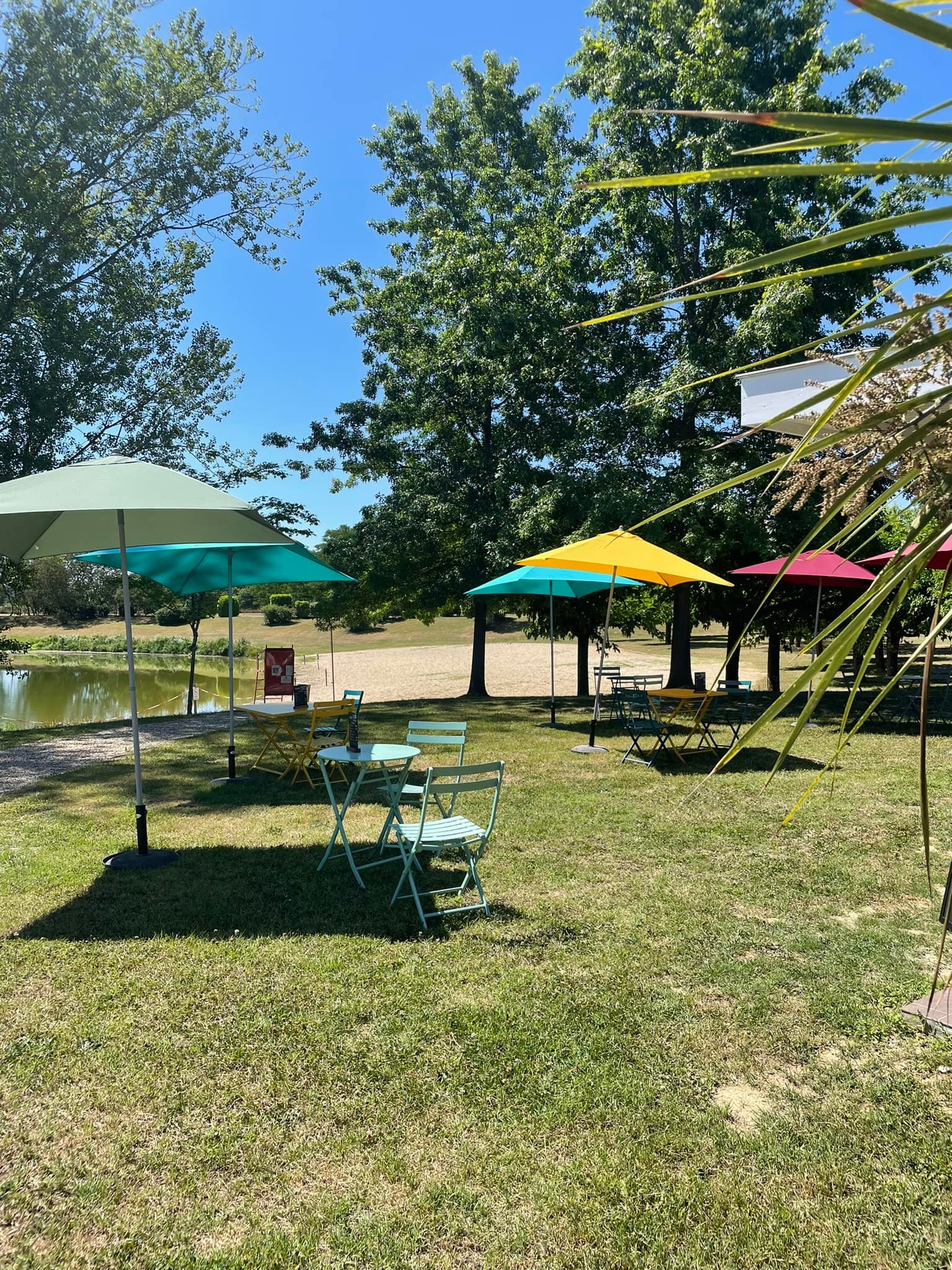 A vendre Fond de commerce Bar-Restaurant-Snack au coeur d'une halte nautique sur le canal des deux mers.
Offrez-vous une opportunité unique ! Situé dans un cadre idyllique sur la voie verte du canal, ce Bar-Restaurant bénéficie d'un flux constant de cyclistes, plaisanciers et touristes en quête d'une pause gourmande.
Les atouts :
Emplacement exceptionnel en bord de canal, face au port avec grande terrasse accueillante.
Clientèle diversifiée : locaux, voyageurs, évènements.
Cuisine entièrement équipée, espace bar convivial.
Potentiel de développement : soirées à thème, concerts, partenariats avec les activités locales, etc.
Surface totale de 600m2. Capacités de 85 couverts minimum en été.
Bail en cours.
Chiffre d'affaires stable avec potentiel de croissance.
Prix de vente : 198000€
