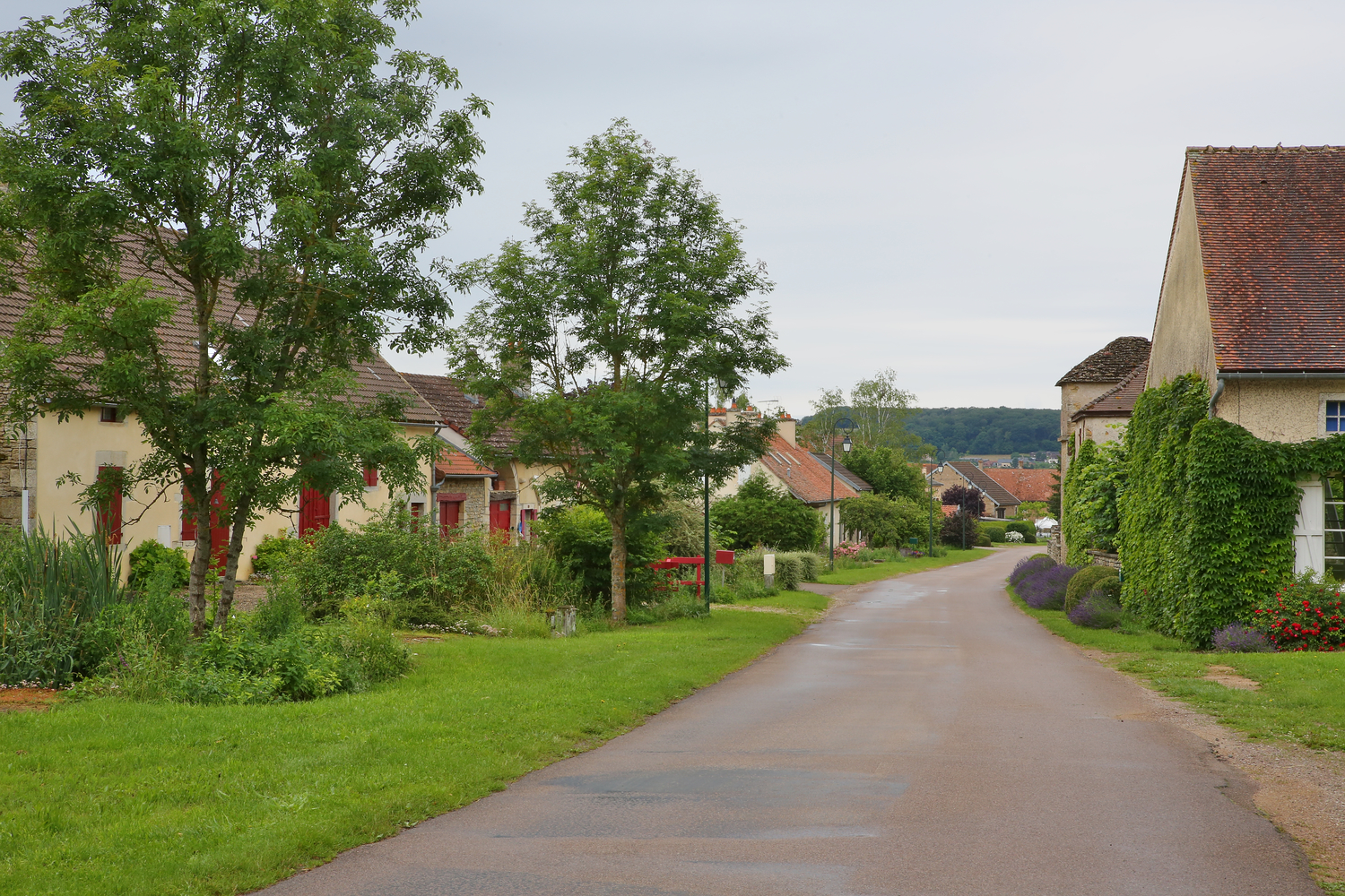 La commune de Missery en Côte d'Or lance un appel à manifestation d'intérêt pour redynamiser le village en créant un café multiservices.
Cet établissement sera idéalement situé au centre du village, face au château.
Le local de 66 m2 possède une terrasse et sera entièrement rénové par la collectivité.
Dans un 1er temps, il pourrait être ouvert sur un mi temps avec des horaires flexibles.
L'ouverture est prévue pour 2026.

Il est possible de prendre RDV pour une visite du site auprès de la Mairie au 07.87.23.16.68 ou par mail missery@wanadoo.fr

Pour en savoir plus, l' AMI est consultable sous https://www.metropoledebourgogne.cci.fr/actualite/appel-manifestation-dinteret-commune-de-missery