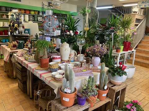 Vend pour cause de retraite une jardinerie, graineterie, fleurs coupées, outillage, alimentation animale. Le végétal est un atout majeur de cette structure, située au coeur du centre ville.
Bail tout commerce.
Etablissement de 300 m2, avec un bureau, des réserves et une grange pour stocker les terreaux et le Noël. Les végétaux sont exposés sur une partie de la voie publique.
Facilité de parking avec la place municipale en face du magasin.
Ideal pour un couple. Potentiel de développement : site internet et réseaux sociaux.
Matériel : camion, fenwick, rolls.
Effectif : 2 salariés en plus du gérant
Prix de vente : 200 000€