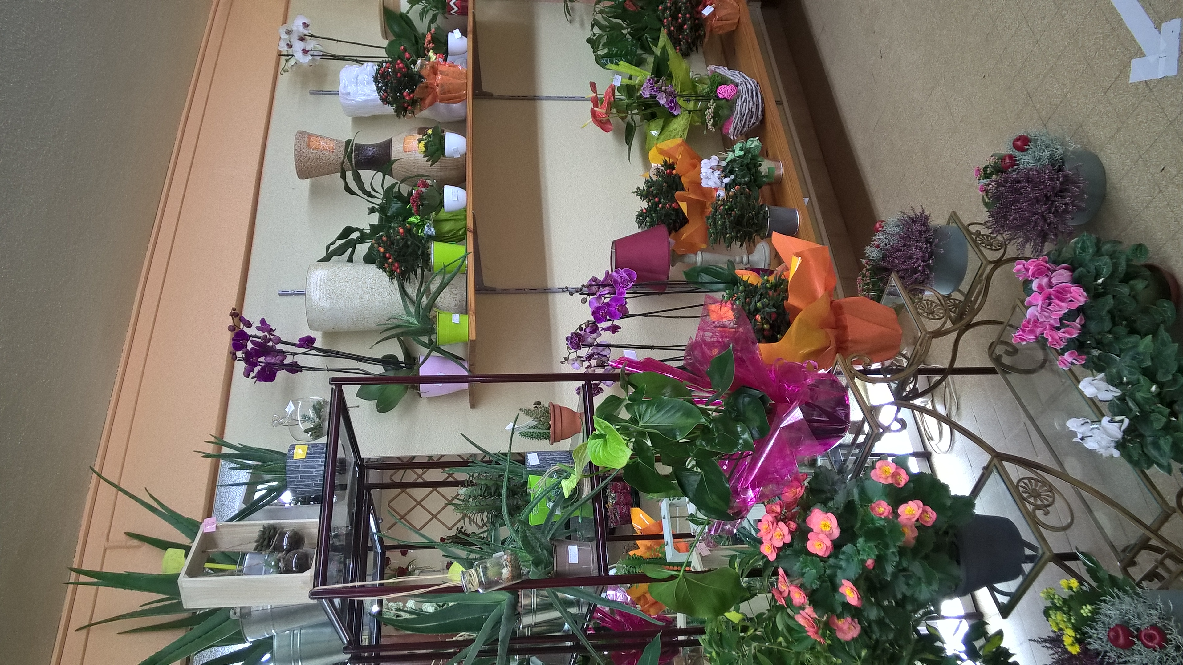 Vends fond de commerce "fleuriste" à Moirans en montagne jura  45000 EURO
Emplacement idéal car en plein centre ville dans rue commerçante avec parking
publique tout autour.
Tenu depuis 29 ans cède pour cause de départ en retraite.
Magasin comprenant:
Surface de vente 60 m2 avec tout le mobilier. Agencement fonctionnel.
Atelier de 30 m2 comprenant un coin bureau, toilette séparé et évier , cumulus et
placard mural.
Reserve de 6 m2 avec chambre froide . Indispensable l 'été.
2 Vitrines
Loyer de 590 euro par mois.
Clientèle fidèle
Possibilité de développer le CA