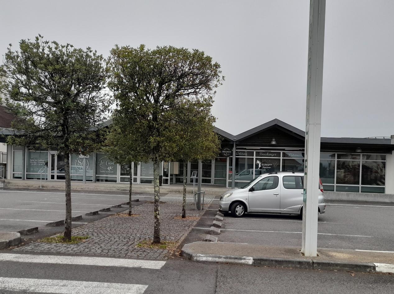 A louer local commercial situé au centre bourg (à proximité d'autres commerces et d'un centre médical) d'une superficie de 180 m² pour boulangerie-pâtisserie ou commerce multi-services avec dépôt de pain. Prix du loyer mensuel : 371 € HT

Pour plus de renseignements prendre contact avec la Mairie de LAGOR au 05.59.60.22.79