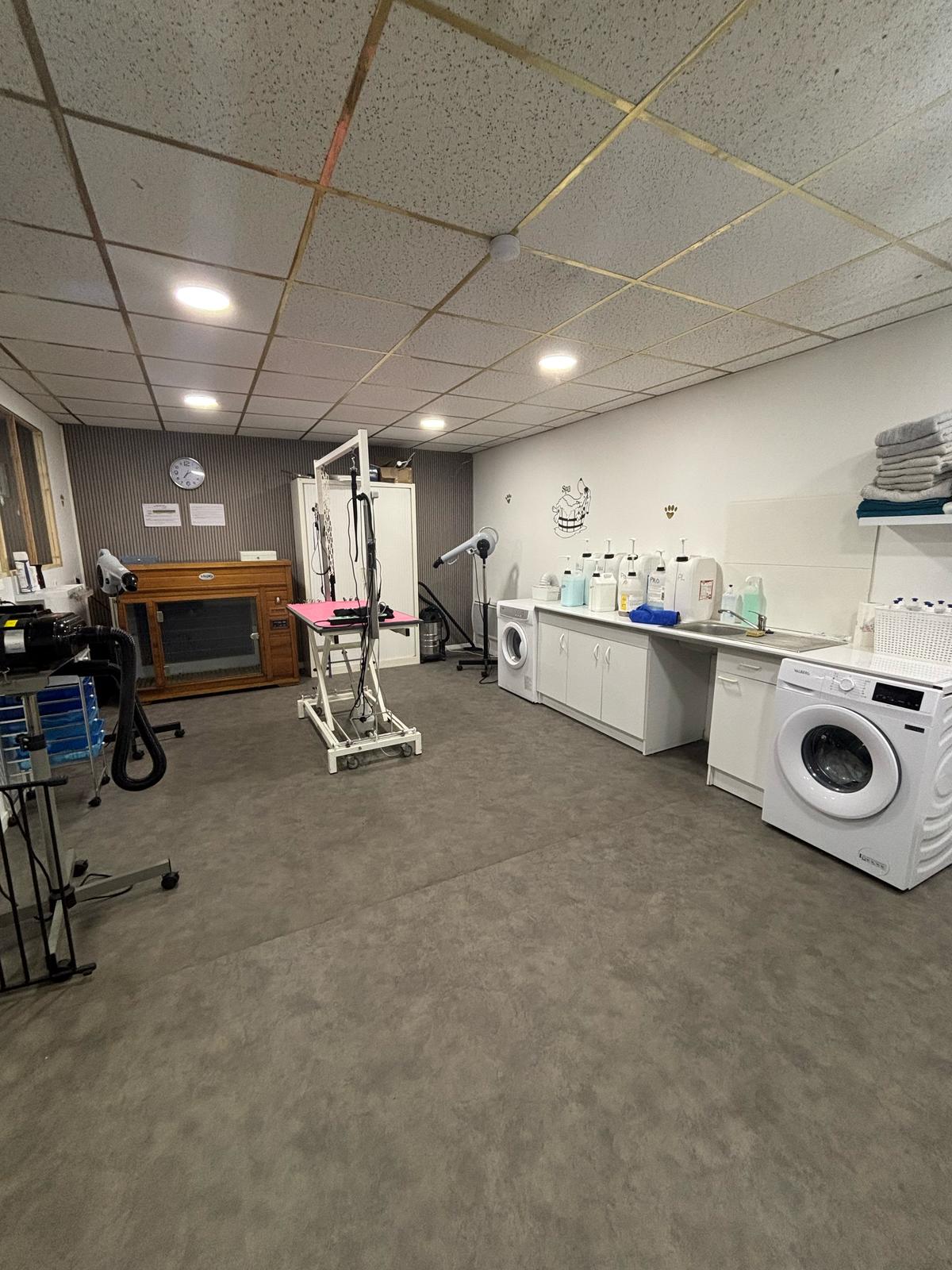 Fonds de commerce 
Salon de toilettage 
Balnéothérapie et chromothérapie 

Avec reprise du bail location accession restant 2 ans, puis possibilité d'acheter les mûrs 120400€ au bout de 2 ans.

Idéalement situé à côté d'un  parking, près de la mairie et du collège, aucune concurrence à moins de 15 km autour.

Le bâtiment poser sur un terrain d'environ 600 m2 se compose :
sur 120 m2, séparer en deux, dont une partie commerce de 65m2 et d'une autre partie en logement F2 d'environ 55 m2 
Le tout sur un sous-sol total accès garage.


La partie commerce :

Le fond de commerce et vendu tel qu'il est actuellement.
le stock, le matériel, la décoration, enseigne, panneau publicitaire. 
Un fichier clientèle d'environ 3 à 400 clients réguliers, la partie commerce est composé de deux parties une magasin accueil espace de vente aux normes PMR et une porte à ouverture automatique. 
De l'autre espace de travail avec verrière pour les clients. 

Le salon est  clés en main aucun matériel supplémentaire nécessaire.

La partie appartement:

Composer d'un F2, 
Propriétaire actuel flexible, peut autoriser sous location.
Porte d'entrée séparée
Entrée salon cuisine ouverte 25M2
1 chambre avec placard 16M2
1 SDB/WC 15M2
Les convecteur chauffage wifi sont neuf
1 accès sous-sol 
1 accès magasin (possible de condamner) 
1 portail accès voiture extérieur 

Tout le bâtiment est aux normes :
Incendie (alarme,détecteur, extincteur).
Electrique installation neuve (compteur séparé) 
eau (compteur séparé) et deux ballons d'eau chaude.
Sécurité bâtiment sous alarme et vidéo surveillance

Loyer actuellement mensuel : 1500€
Décomposer en loyer 1200€
Avance accession 300€

Montant total des charges fixe mensuel : 2510€
Deux dernier CA MENSUEL: 
Mars 2886€ avec 55 sur 105 possible
Avril 4760€ avec 85 sur sur 115 possible

Chiffres en constante augmentation avec la fermeture des concurrence à 15 km et plus

Prix fonds du commerce
30000€

Autres photo et visite sur rendez-vous