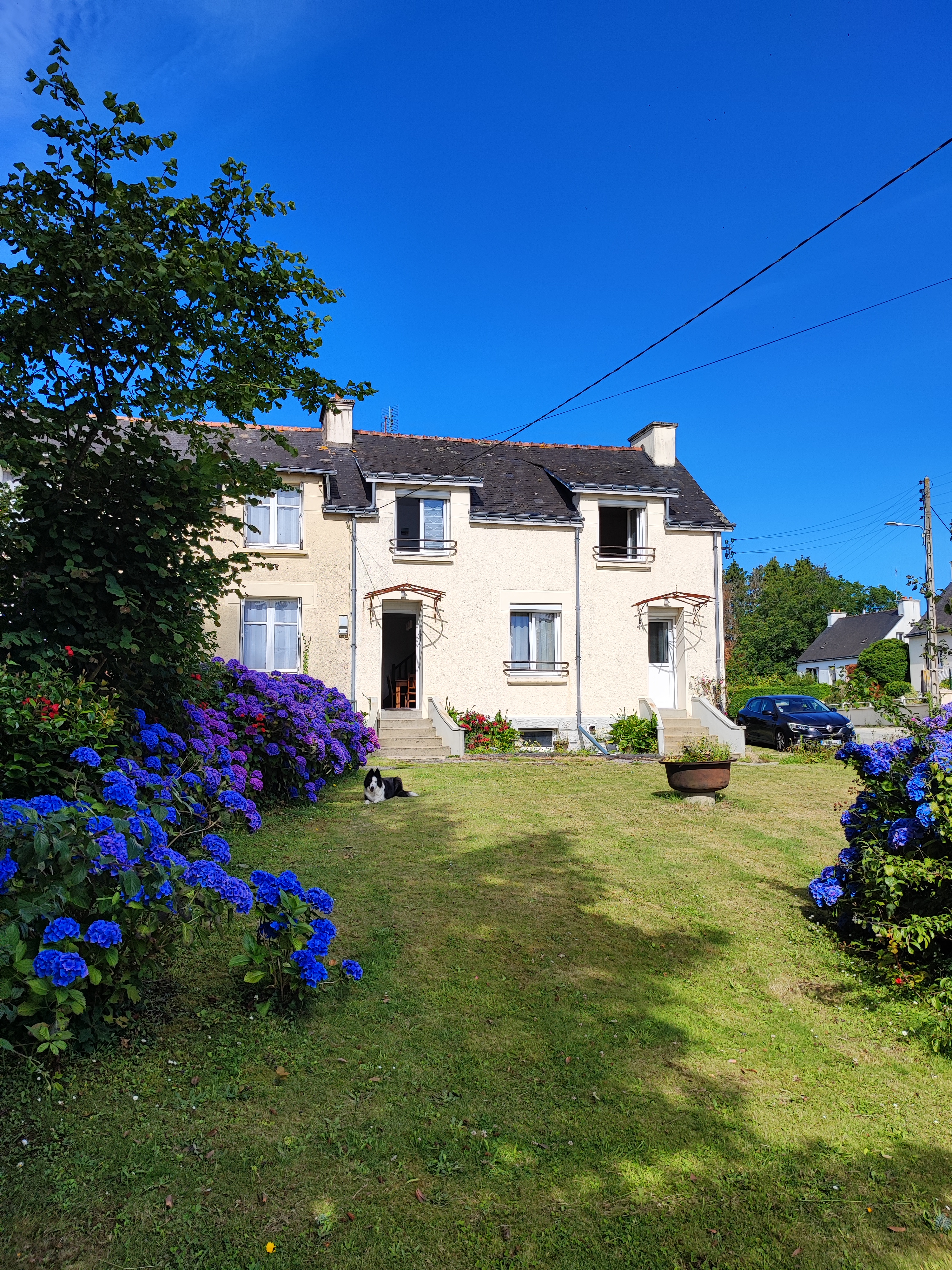 Maison de 160m avec 3 chambres d'hôtes en activités (dont 2 à l'étage), comprenant chacune sa salle d'eau privative, et une pièce pour les petits déjeuners 
La partie privée comporte une cuisine, un beau salon/séjour 1 wc et à l'étage un couloir dessert 3 chambres et une salle de bain 
En activité en extérieur 2 logements atypique, des Wigwams avec un bloc sanitaire à part
Sur une surface de de 18000m2 avec 1 hangar, 2 anciens poulailler, petit garage, 1 grange, le terrain peut accueillir des animaux, permaculture....
Place de parking sur le pignon