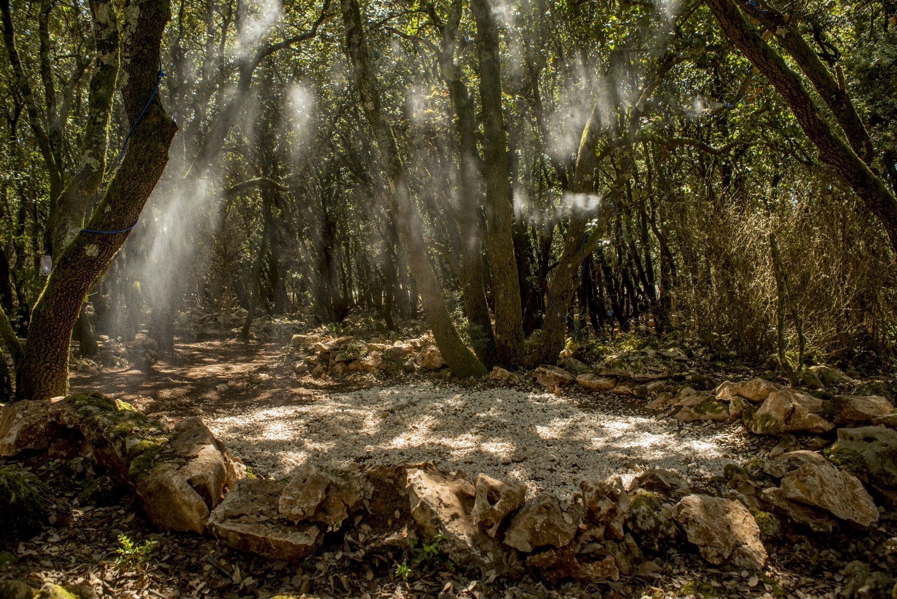 Cause cession d'activité pour autre projet, nous vous offrons de reprendre notre droit au bail. Situation unique, 3 km des Gorges de l'Ardèche, plus de deux hectares actuellement exploité en parc de loisirs nature, équipé, prêt à travailler (buvette, grand parking, toilette etc...). Développez ici votre projet nature ! Paint ball, accro-bambino, ferme pédago, jeux nature, le terrain se prête à de multiples activités. CA actuel environ 120 K€. Emplacement rare, unique, en pleine zone touristique.