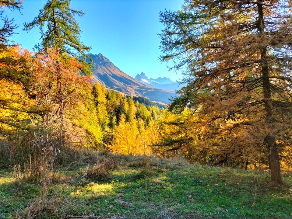La commune d'Albiez le Jeune (Maurienne, 1350m d'altitude) crée dans son ancien presbytère un gîte d'étape (15 couchages), bar, restaurant.
Albiez le Jeune est une étape du Tour des Aiguilles d'Arves et du Tour Arvan-Villards. La fréquentation touristique se compose en été de randonneurs et cyclistes (col de la Confrérie), en hiver, d'amateurs de raquettes ou de skieurs ; et bien sûr toute l'année des habitants du village (150 personnes et environ 400 en haute saison).
La mise en gérance se fera à travers une concession de service.
L'ouverture est prévue au début du printemps 2026.
Le dossier de candidature est à télécharger sur le site : https://ledauphine.marchespublics-eurolegales.com/