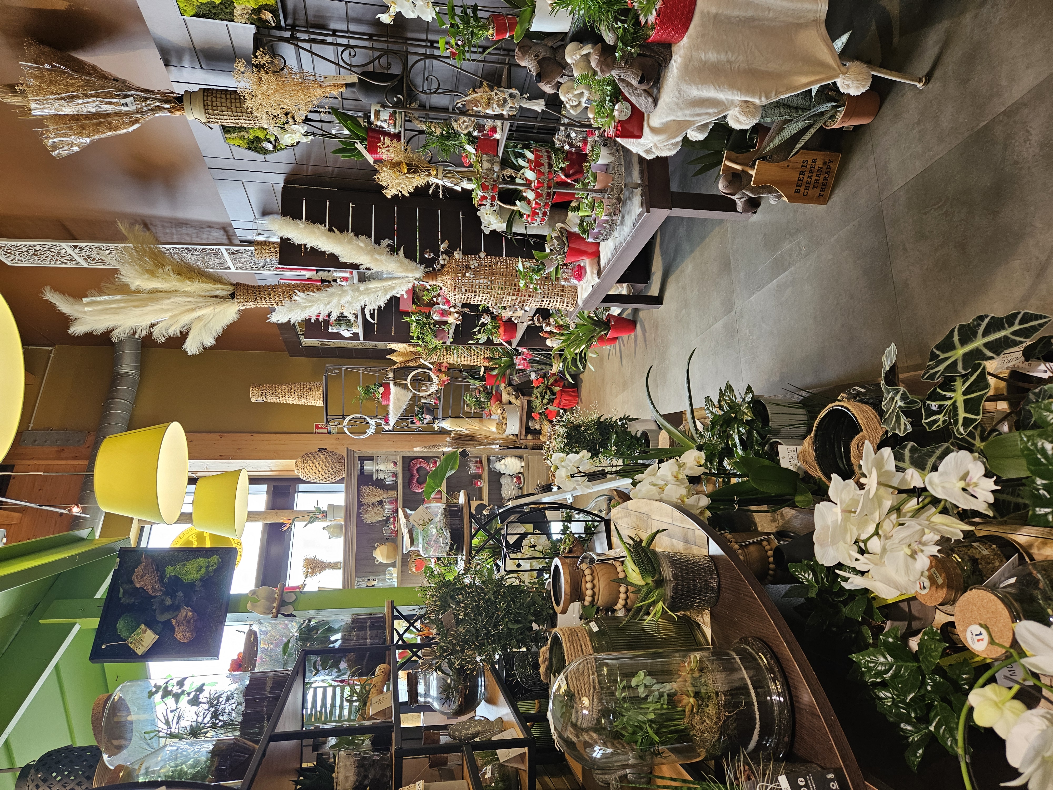 Carhaix-Plouguer 29270
Opportunité d'acquérir un fond de commerce de fleurs. Très bon emplacement avec une visibilité parfaite, située dans une zone passant et dynamique, cette boutique bénéficie d'une clientèle fidèle et d'une excellente réputation.

Caractéristiques du commerce, les surfaces :
- Espace de vente : 78,50 m²Carhaix-Plouguer 29270

Opportunité d'acquérir un fond de commerce de fleurs. Très bon emplacement avec une visibilité parfaite, située dans une zone passant et dynamique, cette boutique bénéficie d'une clientèle fidèle et d'une excellente réputation.

Caractéristiques du commerce, les surfaces :
- Espace de vente : 78,50 m²
- Atelier de confection : 24,00 m²
- Réserve: 52,50 m²
- Vestiaire: 3,75 m²
- Bureau : 9,60 m²
- wc : 3,35 m²

Matériel professionnel complet (chambre climatique, présentoirs haut et bas, outils de travail, …)

Stock de fleurs et plantes sont possibles quand l’inventaire est effectué lors de la vente.

Possibilité d'accompagnement ou de formation pour maintenir les relations commerciales

Atouts :

- Emplacement de choix avec fort passage et ayant un grand parking accessible et gratuit.

- Clientèle régulière et fidèle

- Rentabilité prouvée

- Potentiel de développement

- Agencement moderne et fonctionnel
- Atelier de confection : 24,00 m²
- Réserve: 52,50 m²
- Vestiaire: 3,75 m²
- Bureau : 9,60 m²
- wc : 3,35 m²

Matériel professionnel d'accompagnement (chambre climatique, présentoirs haut et bas, outils de travail, …)

Stock de fleurs et plantes sont possibles quand l’inventaire est effectué lors de d'accompagnement vente.

Possibilité d'accompagnement ou de formation pour maintenir les relations commerciales

Atouts :

- Emplacement de choix avec fort passage et ayant un grand parking accessible et gratuit.

- Clientèle régulière et fidèle

- Rentabilité prouvée

- Potentiel de développement

- Agencement moderne et fonctionnel

Renseignements en MP ou par tel 0689723050