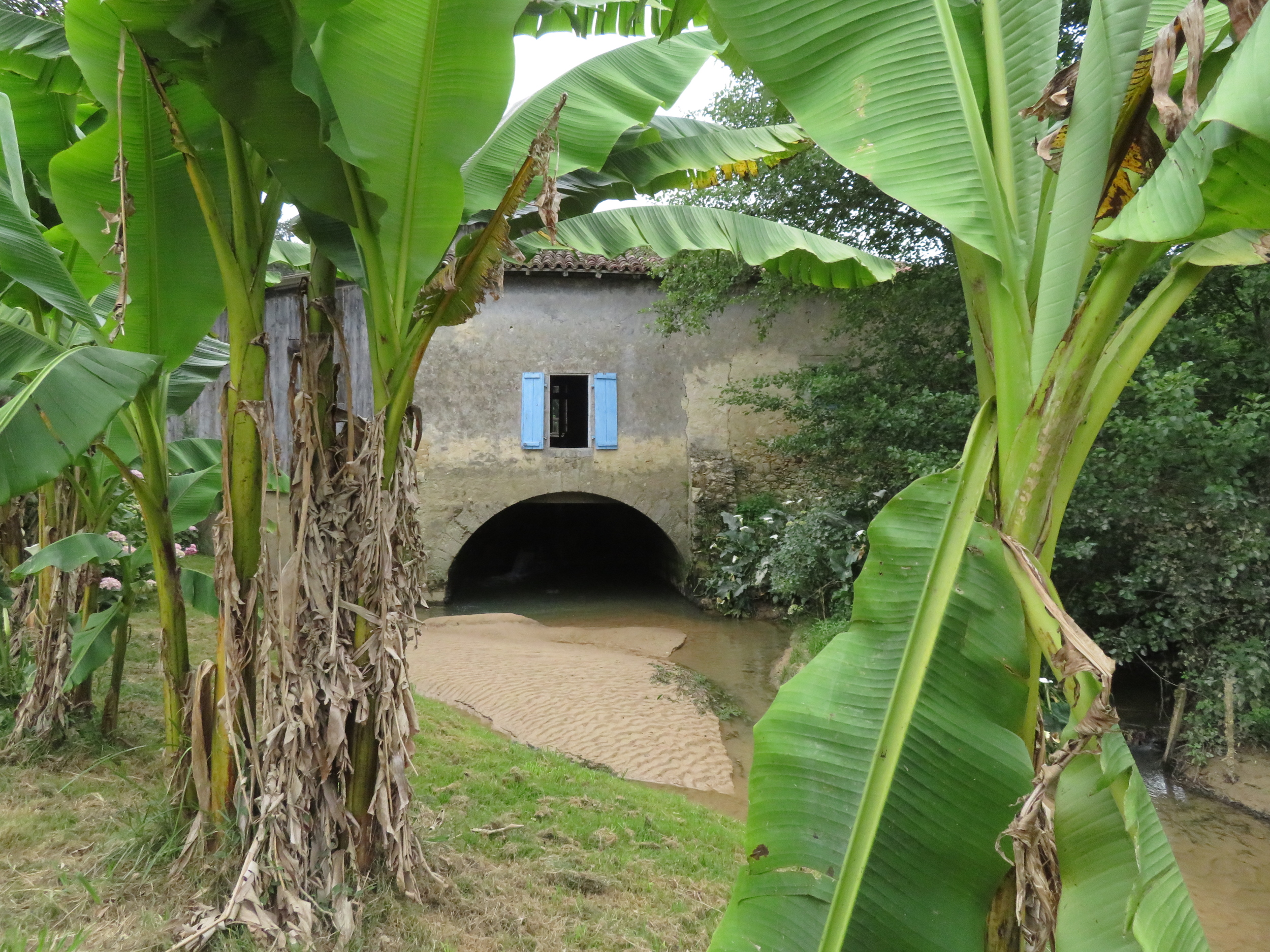 Associant un moulin à eau et un parc animalier, le Moulin de Poyaller est un site landais devenu incontournable en presque 30 années d’activité depuis son ouverture en avril 1994. Martine anime son Moulin à Eau fabrique de la farine et raconte des histoires devant son public et Jean-Charles s’occupe des animaux (Wallabies Blancs et Gris, Alpagas, chèvres et ânes miniatures,…). Les Cervidés ont quitté le parc à la fin de cette année 2022… Ce départ facilitera la transmission et une reprise au niveau des autorisations de détention. Mais il sera possible de réintégrer des cervidés blancs selon les choix des futurs repreneurs.
Dans son fonctionnement actuel, le Moulin de Poyaller accueille un peu plus de 10.000 visiteurs payants, chaque année. Pour nous, Martine et Jean-Charles qui l’avons créé, développé et animé, l’heure de transmettre est arrivée ; elle est même dépassée et, après les années Covid, les signaux sont au vert, comme ils l’ont été, cette année avec un regain très net d’intérêt des visiteurs pour les sites de campagnes, authentiques et sincères. 
Quelques idées et animations nouvelles, un peu de restauration et l’incorporation de main d’œuvre saisonnière permettront d’améliorer la fréquentation et feront évoluer le chiffre d’affaire qui présente un vrai potentiel d’évolution…
L’heure est venue de passer à l’étape suivante, celle du développement et de quelques changements. 
TF1 est venu à plusieurs reprises, voici le dernier reportage de Michel Izard :
https://www.facebook.com/Moulin.de.Poyaller/videos/10153130850479247/ 
Et le tout dernier, enregistré par TF1 pour SOS Village en hiver, diffusé le 1er Mars 2020, malheureusement juste avant l’apparition de la pandémie :
https://www.facebook.com/Moulin.de.Poyaller/videos/595620740987069
Consultez aussi notre site Internet : www.moulin-poyaller.com
et notre page Facebook, très active avec plus de 200.000 abonnés : 
https://www.facebook.com/Moulin.de.Poyaller/.
Ils vous aideront à mieux imaginer ce que nous faisons et quelle pourrait être votre place dans le développement du Moulin de Poyaller.
Un site internet, www.achat-moulin.com a également été créé pour présenter plus complètement la vente du Moulin de Poyaller.