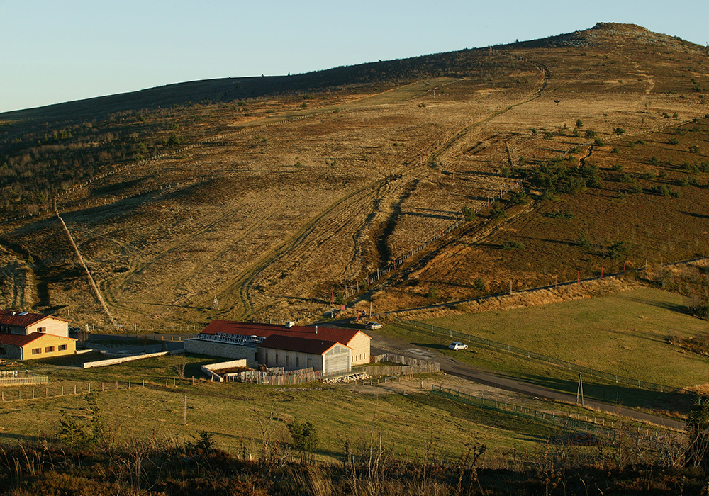 À 1 390 mètres d’altitude, le Col du Béal est un site emblématique du massif du Forez, à la croisée des sentiers de randonnée (GR3, circuits locaux) ainsi que des itinéraires VTT et raquettes. Véritable balcon naturel situé au cœur des Hautes-Chaumes, le site offre un panorama exceptionnel sur les Monts du Forez et les plaines environnantes et constitue un lieu stratégique d’accueil touristique.

Au cœur de ce site préservé, l’auberge du Col du Béal est un lieu d’accueil incontournable pour les randonneurs, les familles, les amateurs de nature et les visiteurs en quête d’authenticité. La Communauté de communes Ambert Livradois Forez lance un appel à candidature pour la location et l’exploitation de l’auberge et du gîte du Col du Béal.

L’établissement, nommé auberge et gîte du Col du Béal, situé sur la route départementale n°40 à SAINT-PIERRE-LA-BOURLHONNE, est constitué de deux bâtiments distincts, éloignés de quelques dizaines de mètres : l’auberge pour la partie restauration et le gîte pour la partie hébergement.

L’auberge comprend :
– Une cuisine équipée
– 3 salles de restauration (capacité totale d’environ 80 couverts)
– 1 salle (ancien observatoire) multifonctionnelle
– 1 espace de réserve

Le gîte d’étape, d’une capacité actuelle de 33 couchages, est équipé d’une salle de séjour, d’une cuisine, d’un dortoir de 6 personnes et de deux dortoirs de 8 personnes (chaque dortoir comprend salle d’eau et WC). Le gîte est également équipé d’un appartement indépendant de 6-8 personnes, pouvant servir de logement de fonction.

La Communauté de communes Ambert Livradois Forez attire l’attention des candidats sur la règlementation en vigueur pour un hébergement de plus de 15 personnes (nécessité requise dans certains cas d’une personne restant sur place la nuit). Les plans du bâtiment et l’inventaire du matériel sont disponibles dans l’appel à candidature.

Superficie totale des bâtiments : 520 m² (300 m² pour l’auberge et 220 m² pour le gîte)
Mode de chauffage : chaudières à gaz

Nature du contrat de location : bail commercial
Durée : 9 ans (3-6-9)
Date d’entrée dans les locaux : 1er avril 2026
Montant du loyer : 800 € TTC
Charges : système de provision pour charge mensuel avec régularisation en fin d’année (eau et TEOM).
Licence IV : mise à disposition (rédaction du bail commercial devant notaire obligatoire, à la charge du preneur)
Assurances : le locataire devra souscrire à une assurance couvrant l’exploitation (assurance dommages aux biens, responsabilité civile professionnelle)

La Communauté de communes n’est pas fermée à une proposition d’acquisition des murs.

La Communauté de communes Ambert Livradois Forez souhaite confier la gestion de l’auberge à un ou plusieurs exploitants expérimentés, dont le projet s’inscrira dans les objectifs suivants :
– Assurer une offre de restauration et d’hébergement de qualité, adaptée aux usagers du site ;
– Valoriser le patrimoine naturel et paysager du Col du Béal ;
– Développer une activité touristique attractive en toute saison ;
– Contribuer au dynamisme économique local.

Les candidatures devront fournir un dossier de présentation comportant :
– Lettre de motivation ;
– Diplômes et formations ;
– Curriculum Vitae (avec expériences professionnelles et références) ;
– Note descriptive du projet d’exploitation (orientations, services proposés, stratégie commerciale et touristique et développement au regard de l’article 3) ;
– Plan prévisionnel d’activités et de fréquentation ;
– Budget prévisionnel détaillé (justifier le plan d’exploitation en quantifiant les conditions d’exploitation prévisionnelles : masse salariale, périodes d’ouverture, fréquentations prévisionnelles, etc.) ;
– Apport.

 

Calendrier de la procédure de sélection :
1. Date limite de dépôt des candidatures : mercredi 17 décembre 2025
2. Entretiens avec les candidats : jeudi 8 janvier 2026
3. Date décision finale : lundi 12 janvier 2026
 

Les candidatures seront évaluées selon les critères suivants :
– Qualité et pertinence de la candidature (forme du dossier, expérience et compétences du ou des porteurs de projets) ;
– Qualité et pertinence du projet proposé (propositions concernant la restauration, activités connexes, propositions concernant l’hébergement) ;
– Viabilité économique et financière du plan d’exploitation prévisionnel ;
– Contribution à l’attractivité touristique et au dynamisme local ;
– Respect des valeurs environnementales et patrimoniales du site.

Les candidatures doivent démontrer une bonne connaissance du patrimoine naturel et paysager du Col du Béal. Celles cherchant à améliorer l’attractivité du territoire par la mise en place d’activités connexes ou bénéfiques à l’économie locale seront valorisées.

 

La date limite de dépôt des candidatures est fixée au mercredi 17 décembre 2025 à 18h00. Les dossiers complets sont à adresser à :

Communauté de communes Ambert Livradois Forez
15 avenue du 11 Novembre
63 600 AMBERT

Sous pli cacheté, portant la mention « appel à candidature – auberge et gîte du Col du Béal »

Ou par mail à : chloe.seve@ambertlivradoisforez.fr (un seul document unique en PDF avec le titre sous le format suivant : NOM-Prénom-dossier auberge Béal-JJMMAAAA – date d’envoi de la candidature).

Tout dossier incomplet, ne respectant pas le format attendu ou transmis après la date limite de dépôt sera refusé.

Les visites se feront uniquement sur rendez-vous sur la semaine du 5 janvier 2026.
Contact : Chloé SÈVE – 07.86.54.20.24 – chloe.seve@ambertlivradoisforez.fr.

 

Cliquer ici pour obtenir le dossier de candidature complet en PDF : https://drive.google.com/file/d/1K8onQ_LWdxw9N3RiNI3hGmYRDZVBDWRn/view?usp=sharing 

En zone de revitalisation rurale (ZRR), toute reprise de commerce bénéficie d’une exonération fiscale totale durant 5 ans, puis dégressive dans les années suivantes. Il est possible d’être accompagné techniquement et/ou financièrement par le Réseau Initiative, France Active, le Parc Livradois-Forez, la CMA, la CCI ou la BGE. Une aide aux commerces existe également, en cofinancement avec la Communauté de Communes et la Région

Habitation associée à l'offre