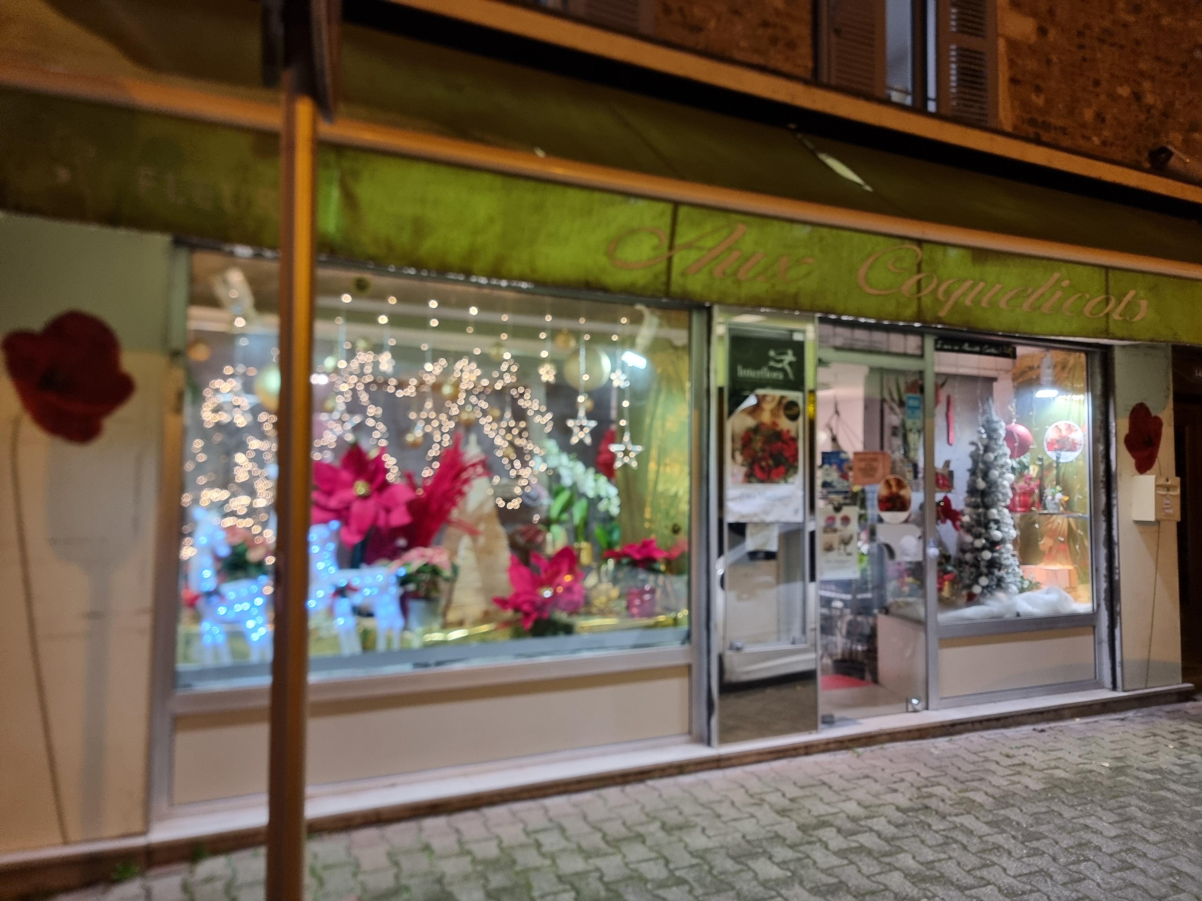 A céder fonds de commerce de fleurs situé dans le Rhône au pied du beaujolais.
en centre ville, en face de la poste et d'une boulangerie, à coté d'un primeur. Dans la même rue se trouve PFG , une agence immobilière, un bar à vin, une boucherie, une esthéticienne…
Local environ 40 M2 + réserves. 
Climatisation réversible.
Une chambre froide.

Loyer mensuel 692.44€.
Pas de personnel à reprendre.
Installé depuis 17 ans.

Pris du fonds de commerce :  35 000€