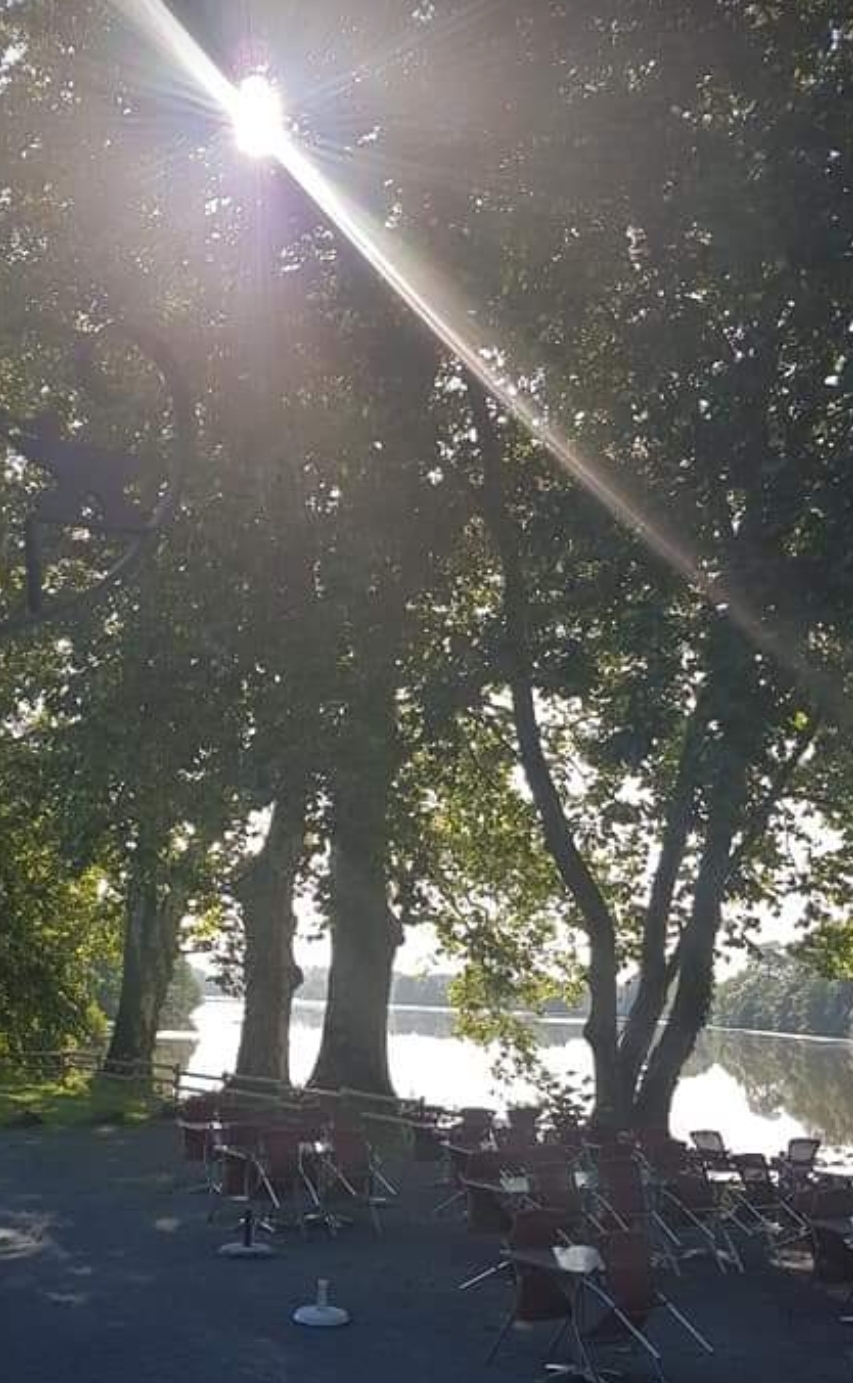 A 45 min de Rennes et 1h de Nantes.
Au cœur de sa forêt se niche cette splendide bâtisse du 18 ème au bord de l eau.  
Aujourd hui exploité en Crêperie.
50 cts  interieur 70 cts exterieur 
(Possible toutes restaurations )
Les locaux ont été entièrement remis à neuf et aux normes suite à des travaux réalisés en 2021.
Tout équipé-matériel récent 
Belle terrasse. Grand parking 
Très beau logement 3 chbres. 
Très bon CA en évolution 
Aucun travaux à prévoir !!
Coup de Cœur assuré pour ce cadre Idyllique. 
Licence IV - Pas de contrat brasseur 
Bail récent 2021
Ouvert 3 jrs/semaine d Octobre à Mars 
Et 5 jrs/semaine d Avril à Sept.
6 semaines de congés/an
A découvrir sans tarder pour les amoureux du calme et de la nature.
Possibilité d accompagnement pour la reprise.
1er contact par mail
