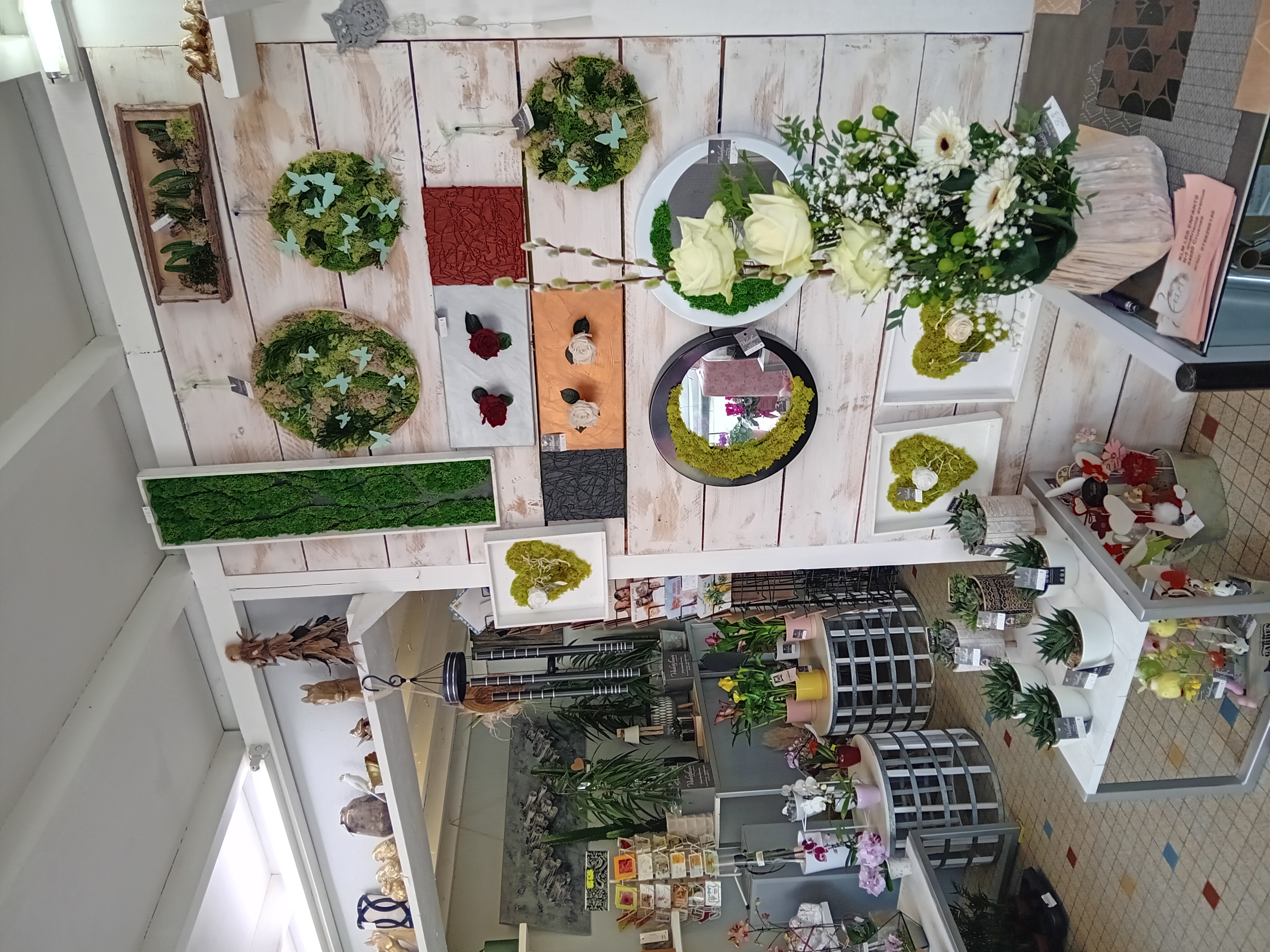 Belle affaire à saisir pour cause retraite.
Magasin situé à 15 kms de la frontière Luxembourgeoise.
Ouvert en 1983, avec une clientèle fidèle, dans un esprit à la fois villageois, mais en demande de nouveautés et de modernité.
50m2 environ, petit loyer, bon chiffre d'affaire.
Le magasin est situé dans la rue principale, face à la boulangerie, l'église, près du cimetière et de la pharmacie.
Il est vendu avec un stock d'environ 8000€ de marchandise, compris dans le fonds. 
Pas d'employé, possibilité d'accompagnement pendant le temps nécessaire à l'installation.
Le chiffre peut doubler avec une inscription INTERFLORA, car il n'y a pas de concurrence dans ce domaine.
Si votre rêve est d'avoir votre propre boutique, c'est maintenant.....