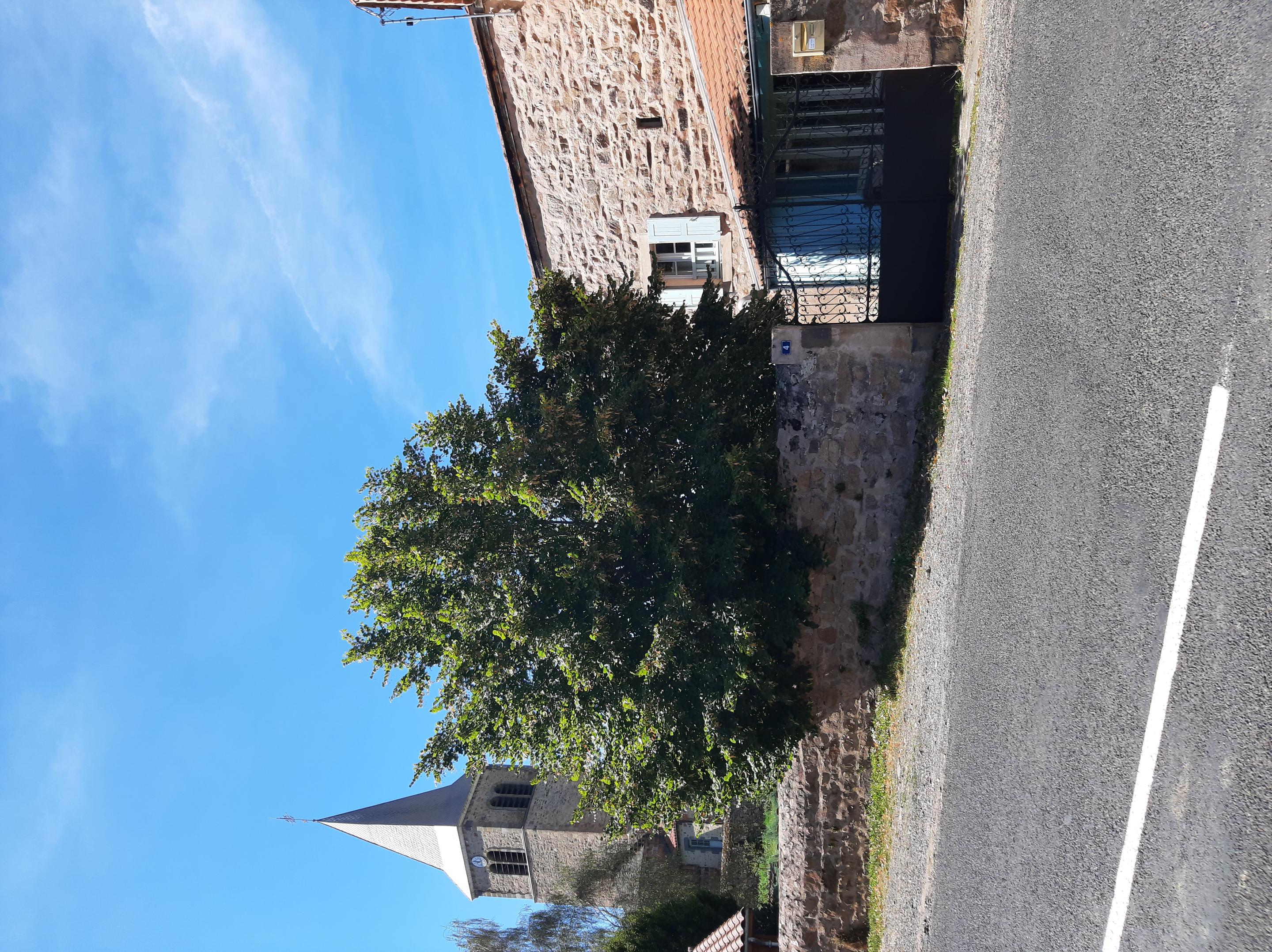 Dans le cadre de la dynamisation de son centre-bourg, la municipalité de Saint-Beauzire recherche un porteur de projet ou un couple d'exploitants pour l'ouverture d'un commerce multiservice de proximité. Professionnel de la restauration ou de la gestion de commerce de proximité, vous avez le sens de l'accueil et de l'animation locale. Rigoureux sur l'hygiène (formation HACCP), vous possédez un apport personnel minimum pour l'agencement, l'acquisition du matériel d'exploitation et la constitution de votre stock de démarrage.
L'activité cible devra articuler trois fonctions : Bar (Lieu de convivialité pour les habitants), Restauration rapide  (Valorisation des circuits courts, petite restauration de midi, emporté), Desserte alimentaire de base (Point épicerie, dépôt de pain, produits de première nécessité).
Vous exercerez au sein d'un bâtiment de caractère (ancien bureau de poste), avec jardin,  authentique, dans un cadre de vie rural dynamique, à 11 km de Brioude, avec une école primaire de 40 élèves. Le bien comprend deux espaces  : Rez-de-chaussée commercial : Espace d'accueil/salle, zone cuisine/laboratoire à aménager, sanitaires. Logement de fonction à l'étage : type T3 inclus dans le bail, le tout situé près de la mairie, de la poste, de l'église et du terrain de jeux.
Le local est proposé dans une configuration qui laisse une grande liberté au futur exploitant tant pour la mise aux normes que pour l'agencement.
Le loyer des murs sera à définir avec l'exploitant.
Vous souhaitez candidater ?
Contact : Mairie de Saint-Beauzire - tél : 04 71 76 80 42 - mail : mairiestbeauzire@orange.fr