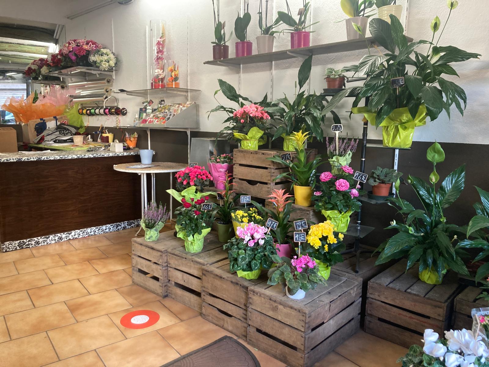 Jolie boutique de 60 m2 , située au plein coeur du village des Milles.
Le commerce est vendu avec tout le matériel nécessaire dont une chambre froide, pour exercer de suite.
Ce commerce existe depuis 1985. J'ai racheté celui ci en 2003.

Clientèle fidèle locale et de passage, située près de nombreux commerces.

Cessation d'activité pour prise de la retraite.
Bail 3/6/9 refait en 2024

Petit loyer