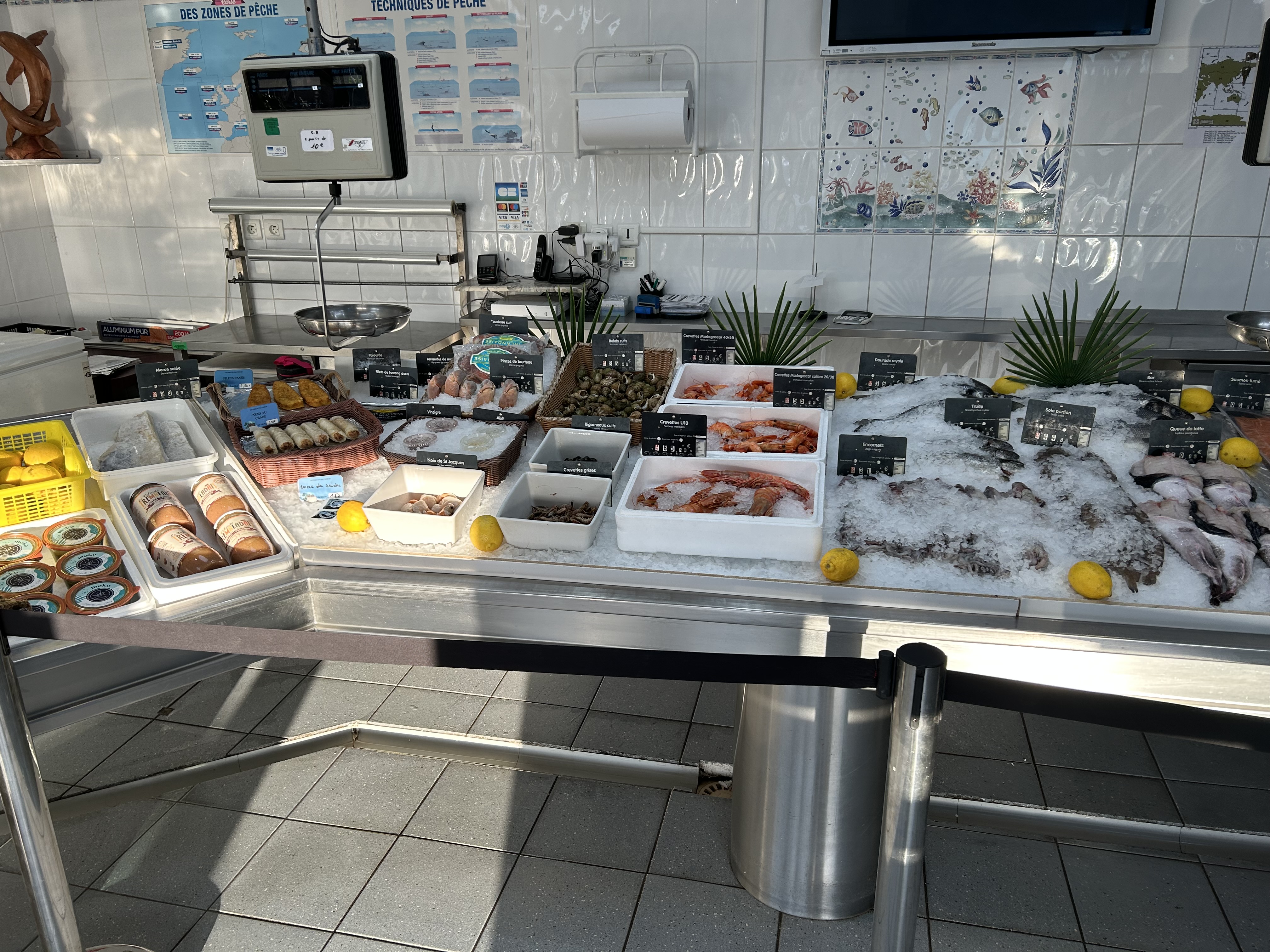 Vente, suite départ à la retraite après 16 ans d’activité, d’un fond de commerce de poissonnerie/traiteur située dans la commune active de Pechbonnieu à la périphérie de Toulouse.
Composée d’une surface de vente de 45m2, d’une chambre froide de 10m3, d’une réserve en mezzanine de 55m2, d’un étal inox de 5m, d’une vitrine réfrigérée de 1,55m2, d’une machine à glace de 900kg/24h et d’une climatisation.
Située à côté d’un supermarché Carrefour Market, un parking d’environ 150 places est à la disposition de la clientèle.