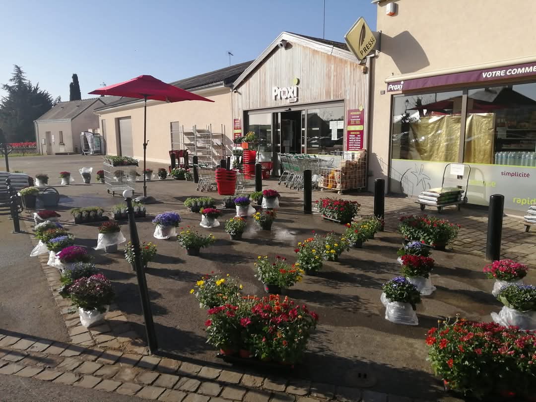 Suite à départ en retraite, vente d un fond de commerce d une superette alimentaire , dans une petite cité de caractère en Mayenne .

SURFACE DE VENTE 226 M2 , AVEC RESERVE ET BUREAU
AU NORMES 
C A  / 400 000 EUROS
LOYER 1 000 EUROS HT
Presse , dépot boulangerie et pressing , pont relais et point argent , gaz , fleurs plants , livraison à domicile , possibilité  boucherie traditionnel (zone créé).
Locaux  presque neufs (création nil y à 4 ans) , 
Possibilité  de vente des murs  et vente de logements , si besoin.
PAGE  FACEBOOK : proxi saint-denis-d'anjou