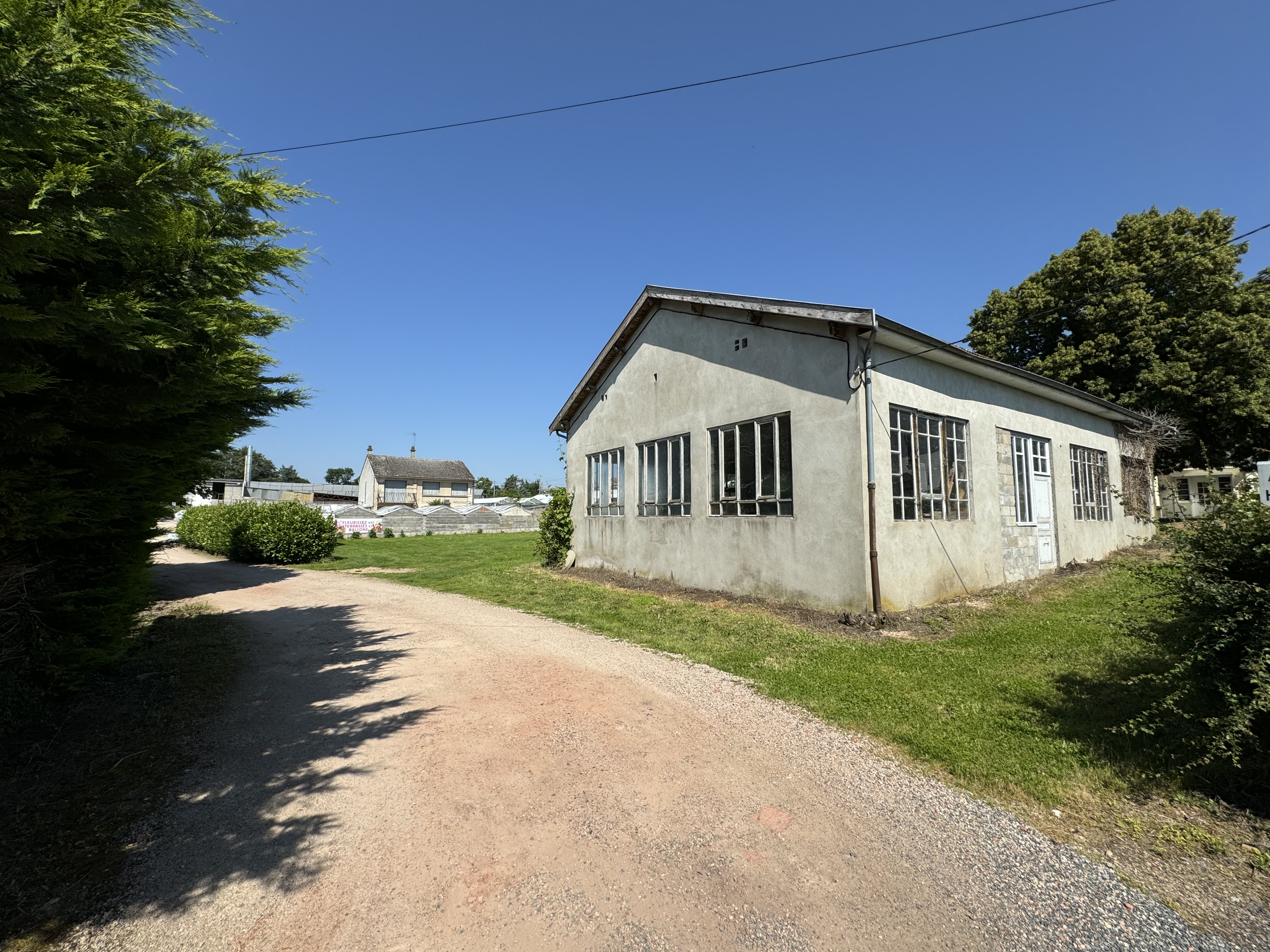 Exploitation Horticole à vendre pour cause de départ en retraite.

Depuis maintenant 40ans, la société familiale Millien Horticulture est implantée sur la commune de Doyet (03170). 

La vente de l'exploitation comprend : 
▪️ Fonds de Commerce 
▪️ 1 Maison de 100m²
▪️ 1 bâtiment de 140m² 
▪️ 3 serres de production en verre de 180m², 200m² et 307m²
▪️ 1 serre en polyéthylène 1003m² 
▪️ 3 tunnels de 8,5m, 8m et 7m
▪️ 8 petites serres artisanales 
Le tout sur 8950m² de terrain et inclus tout le matériel nécessaire à la production.

Le site dispose également d'une boutique pour la vente des cultures tout au long de l'année aux particuliers.