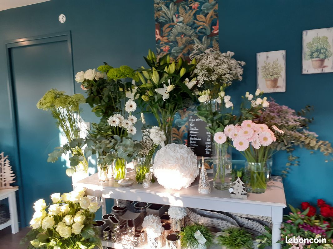 Je vends mon fonds de commerce de fleurs dans le Finistère pour raisons familiales, situé près de la baie de Douarnenez à moins de 8 km de la mer dans une commune dynamique de 3 200 habitants avec de nombreuses associations
Surface de vente 30 m2, réserve avec sanitaires 9 m2, pas de travaux à prévoir, accessibilité aux normes, 4 places de parking
Boutique, située près d’une maison de retraite, 11 ans d’existence.
Clientèle fidèle et régulière. Pas de travaux à prévoir, pas de salarié. 
Possibilité d’accompagnement du repreneur.
Prix de vente du fonds : 25 000 euros. CA : plus de 90 000 euros HT.
Location des murs : 350 euros HT.

A votre disposition pour plus d’informations