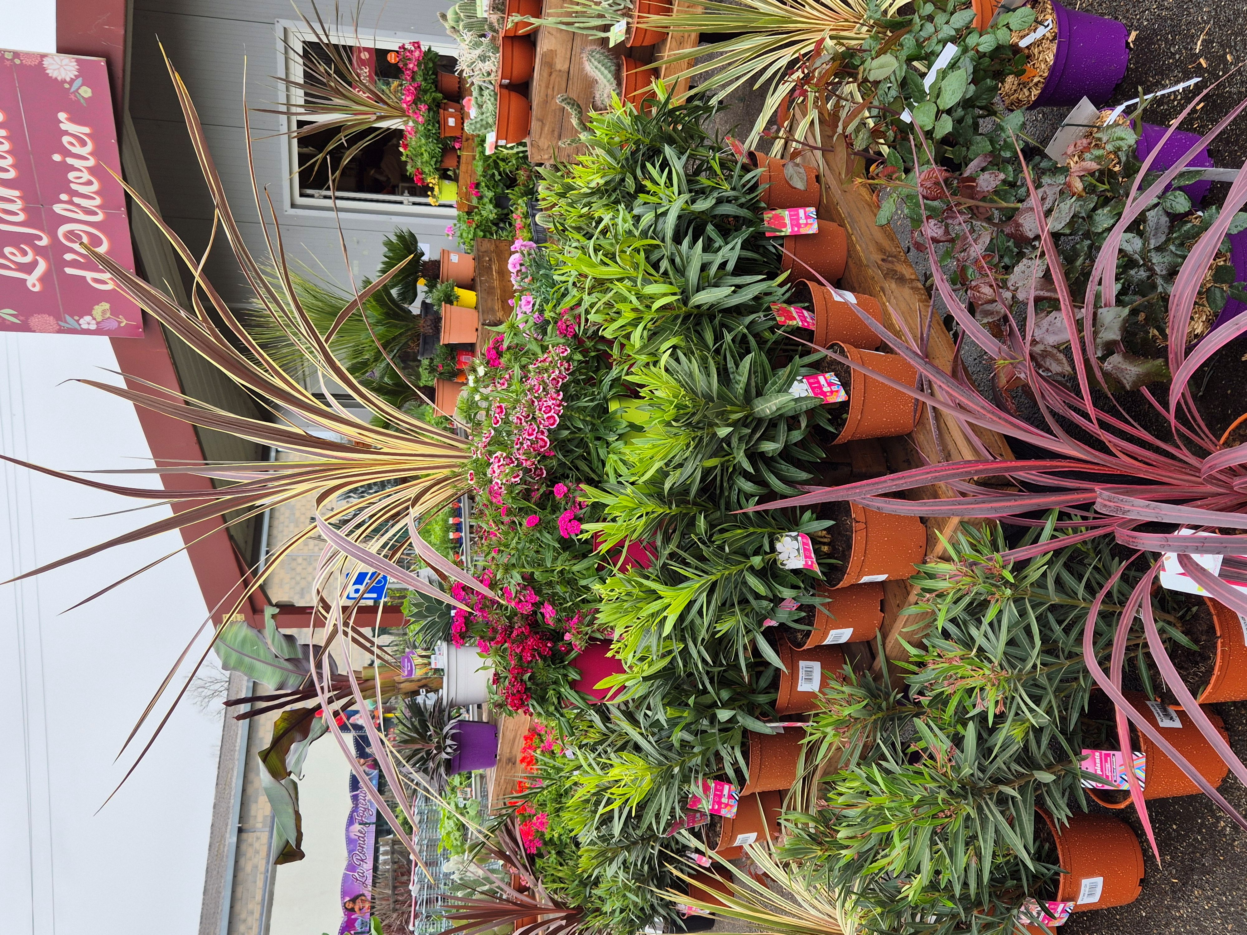 À vendre fonds de commerce de jardinerie idéalement situé à Saint-Vite (Lot-et-Garonne), en bordure d’un axe très passant avec parking clientèle.

Existant depuis 4 ans, Le Jardin d’Olivier jouit d’une excellente visibilité locale et dispose d’une clientèle variée : particuliers, professionnels, collectivités, campings…

🔹 Surface du magasin : 180 m²
🔹 Terrain attenant : 850 m²
🔹 Activités : vente de végétaux, terreaux, poteries, fournitures de jardin, etc.
🔹 Clientèle fidélisée et diversifiée
🔹 Loyer mensuel : 960 € – bail commercial en cours
🔹 Matériel et équipements inclus dans la vente
🔹 Aucun salarié à reprendre

💰 Prix de vente du fonds de commerce : 28 000 €(hors stock)
📍 Idéal pour une reprise en solo ou en couple, avec fort potentiel de développement (pépinière, produits bio, aménagements paysagers, etc.).