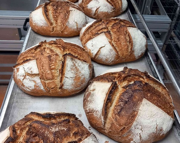 CESSION D'ENTREPRISE ARTISANALE – Boulangerie bio et locale “LE CHANT DU LEVAIN” (Vierzon, 18)

Motif de la vente : départ à la retraite – prévision 1er semestre 2027
Prix de cession : 125 000 € (fonds de commerce, matériel de production et véhicule de tournée)
L’entreprise EARL Le Chant du Levain, créée en 2017, met en vente son activité artisanale de boulangerie bio implantée à Vierzon (Cher).

Présentation de l’activité
Entreprise à taille humaine, le Champs du Levain développe une production du grain au pain, dans une démarche écologique, locale et bio :
•	Sélection de céréales anciennes cultivées et stockées à Cerbois (18) labelisé Agriculture Biologique en  partenariat avec une exploitation agricole
•	Transformation complète sur place à Vierzon : moulin, farine, pains, (viennoiseries et gâteaux boulangers)
•	Fournisseurs et partenaires locaux pour les matières premières – Énergie fournie par Enercoop

L’activité repose sur un modèle économique durable, biosourcé et ancré dans le territoire.
Équipe et organisation
•	2,5 équivalents temps plein + 1 apprentie
•	Équipe expérimentée, 1 Meunier boulanger, 1 ½ administratif, (couple gérants) 1 boulanger salarié (56 ans, embauché depuis 2 ans) et une apprentie adulte en formation
•	Entreprise en pleine propriété, matériel récent (moins de 5 ans pour les principaux équipements)
Locaux et conditions
•	Bail commercial (500 € TTC/mois) – bâtiment actuellement en vente
•	Matériel complet inclus dans la cession (outil de travail opérationnel)
•	Aucun endettement au 31/01/2027
Performance économique
•	Chiffre d’affaires annuel : 220 000 € (avec 4 marchés par semaine + possibilité de vente direct à l’entreprise)
•	Environ 60 % du CA réalisé sur les marchés locaux
•	Comptabilité suivie par comptable 
Transmission et accompagnement
•	Cession prévue dans le cadre d’un départ à la retraite
•	Accompagnement possible pour la reprise et la transmission du savoir-faire
•	Dossier en cours de contractualisation avec Trans entreprise et accompagnement par le réseau agriculture paysanne
📍 Localisation : Vierzon (18 – Cher)
💶 Prix demandé : 125 000 €
📧 Contact : comptoircommerceartisanat@cc-vierzon.fr 
📞06 49 58 07