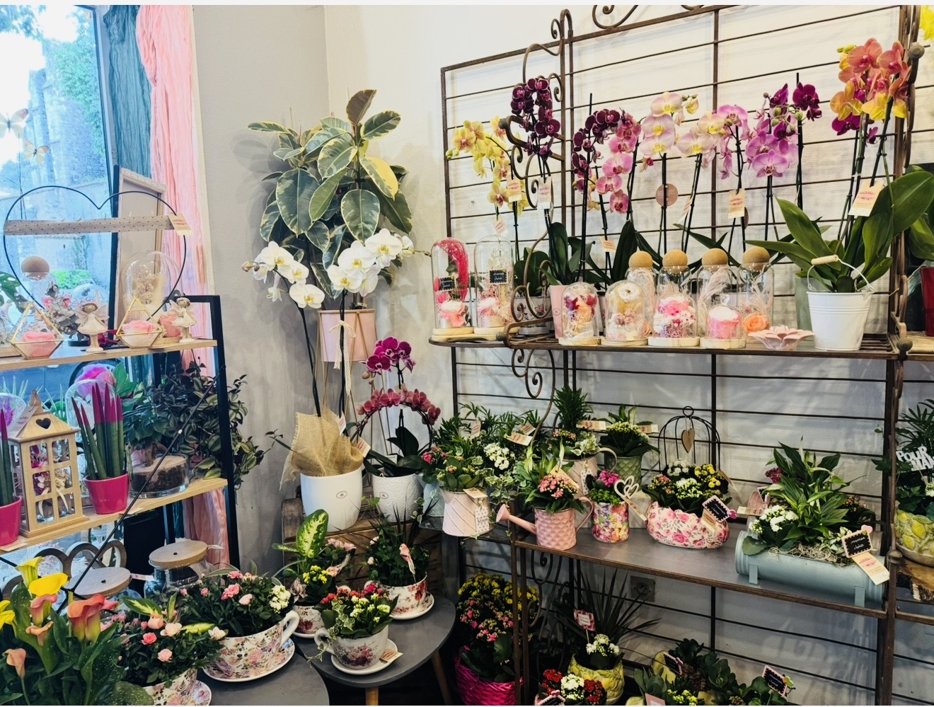 Une belle opportunité pour reprendre un commerce de proximité apprécié et poursuivre une activité florissante dans un cadre de vie agréable.  Situé au cœur de Cessenon-sur-Orb, charmant village dynamique, ce magasin fleuriste bénéficie d’un emplacement idéal avec une clientèle fidèle et agréable, construite au fil des années.  Ce magasin charmant, parfaitement entretenu et prêt à poursuivre son activité sans travaux, dispose d’une belle visibilité grâce à sa vitrine attractive et son joli extérieur qui attire naturellement l’attention des passants.  L’activité est reconnue localement et offre encore de belles perspectives de développement : évènementiel, mariages, décoration florale, livraisons ou partenariats avec les professionnels du secteur.  Les points forts: - Emplacement idéal au cœur du village • Clientèle fidèle et régulière • Commerce prêt à être exploité immédiatement • Activité reconnue localement  • Fort potentiel de développement • Joli extérieur et boutique pleine de charme • Accompagnement possible lors de la reprise  Conditions de reprise: - Surface commerciale : 35 m² • Bail commercial 3/6/9 • Loyer mensuel : 656€ ttc charges comprises  • Matériel et agencements professionnels inclus • ⁠Prix de vente du fonds de commerce: 49.000€  Une belle affaire pour une personne souhaitant s’installer, développer son activité ou tout simplement poursuivre une aventure commerciale déjà bien implantée dans la vie du village.  Pour plus de renseignements ou pour organiser une visite, n’hésitez pas à nous contacter. Ne passez pas à côté de cette belle opportunité !

Localisation

Cessenon-sur-Orb (34460)