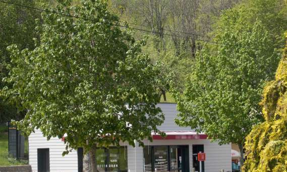 Bar restaurant multiple rural dans jolie petite commune du Cantal, située à 25 kms de Saint Flour et de l'autoroute A 75. Les murs appartiennent à la commune. Le fonds a été créé il y a 6 ans. Salle 25 couverts, grande terrasse 40 places mini et salle des fêtes attenante communiquant avec les cuisines de l'établissement. Chiffre d'affaires annuel environ 90 000 E ht. Possibilité de Formation pour mise en route. Appartement de fonction.