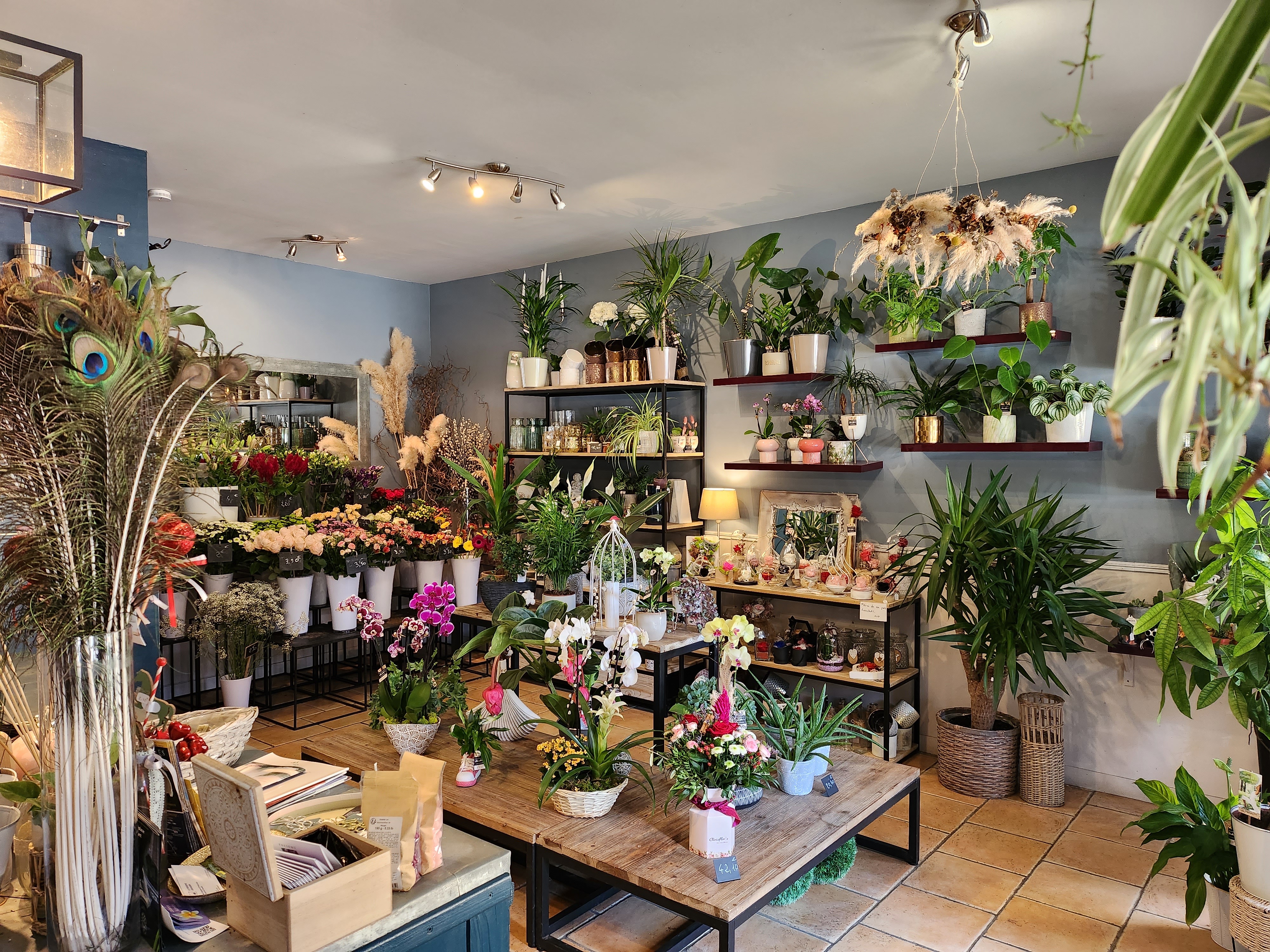 Belle boutique de fleurs dans village touristique de Dordogne, avec divers commerces, école, collège, maison de retraite… 36 m2 en intérieur et possibilité de mettre des plantes dehors. Le magasin est climatisé. Pas de salarié.