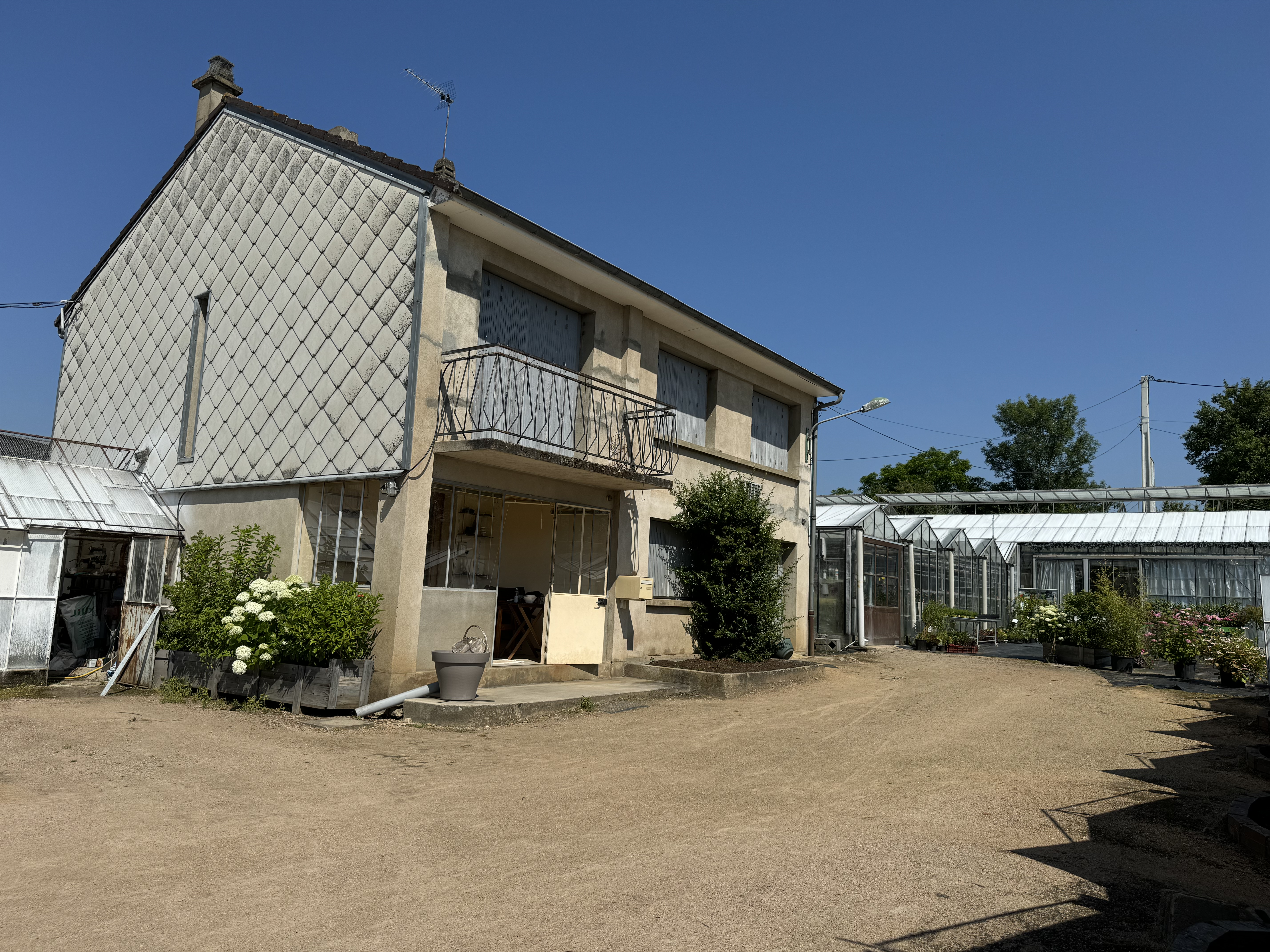 Exploitation Horticole à vendre pour cause de départ en retraite.

Depuis maintenant 40ans, la société familiale Millien Horticulture est implantée sur la commune de Doyet (03170). 

La vente de l'exploitation comprend : 
▪️ Fonds de Commerce 
▪️ 1 Maison de 100m²
▪️ 1 bâtiment de 140m² 
▪️ 3 serres de production en verre de 180m², 200m² et 307m²
▪️ 1 serre en polyéthylène 1003m² 
▪️ 3 tunnels de 8,5m, 8m et 7m
▪️ 8 petites serres artisanales 
Le tout sur 8950m² de terrain et inclus tout le matériel nécessaire à la production.

Le site dispose également d'une boutique pour la vente des cultures tout au long de l'année aux particuliers.