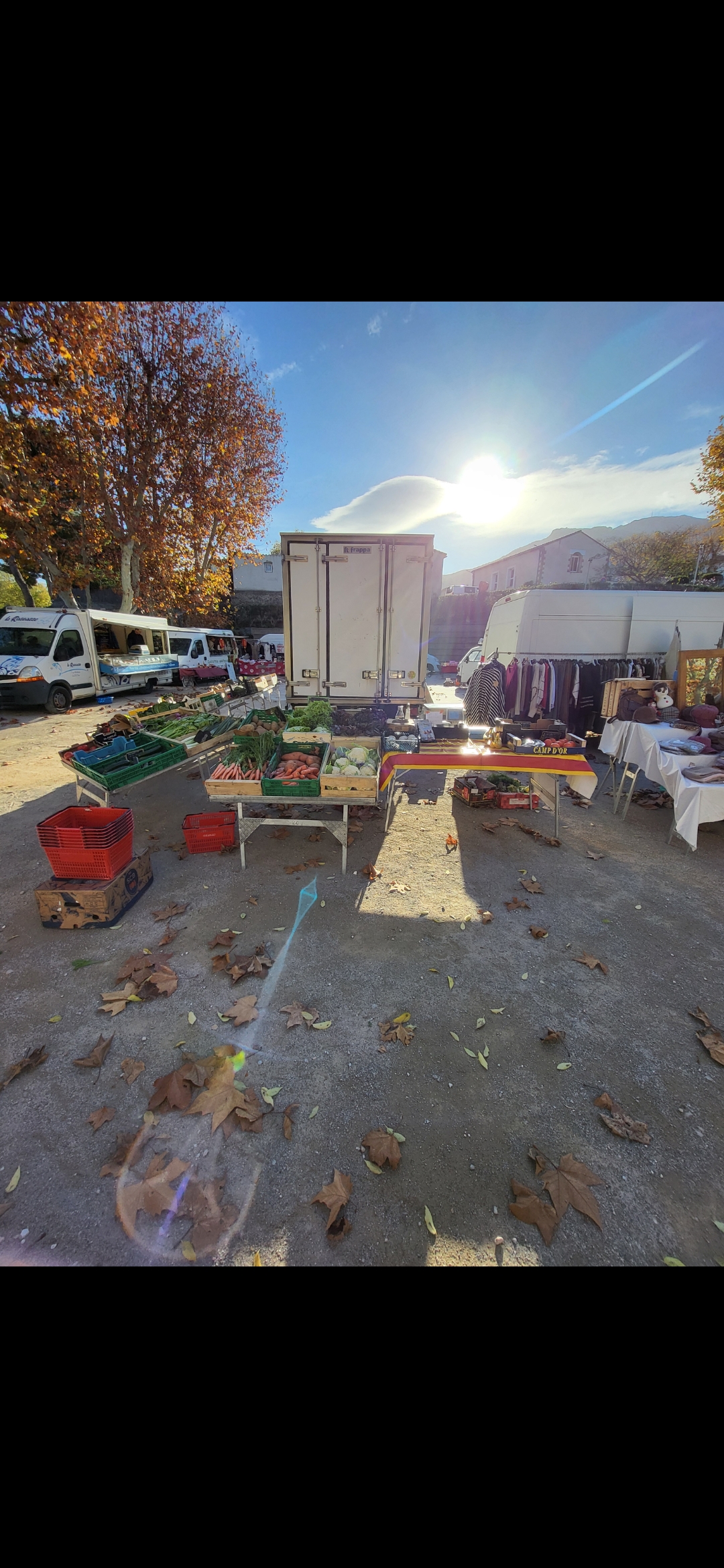 Commerce clefs en main, fruits et légumes sur les marchés, comprenant le véhicule vl iveco frigo entretenu, places de marchés, tout le matériel, tables, balance, caisse, parasols,... 
Contact avec les fournisseurs. Apprentissage possible pour débutant.
Je suis disponible pour plus d'informations.