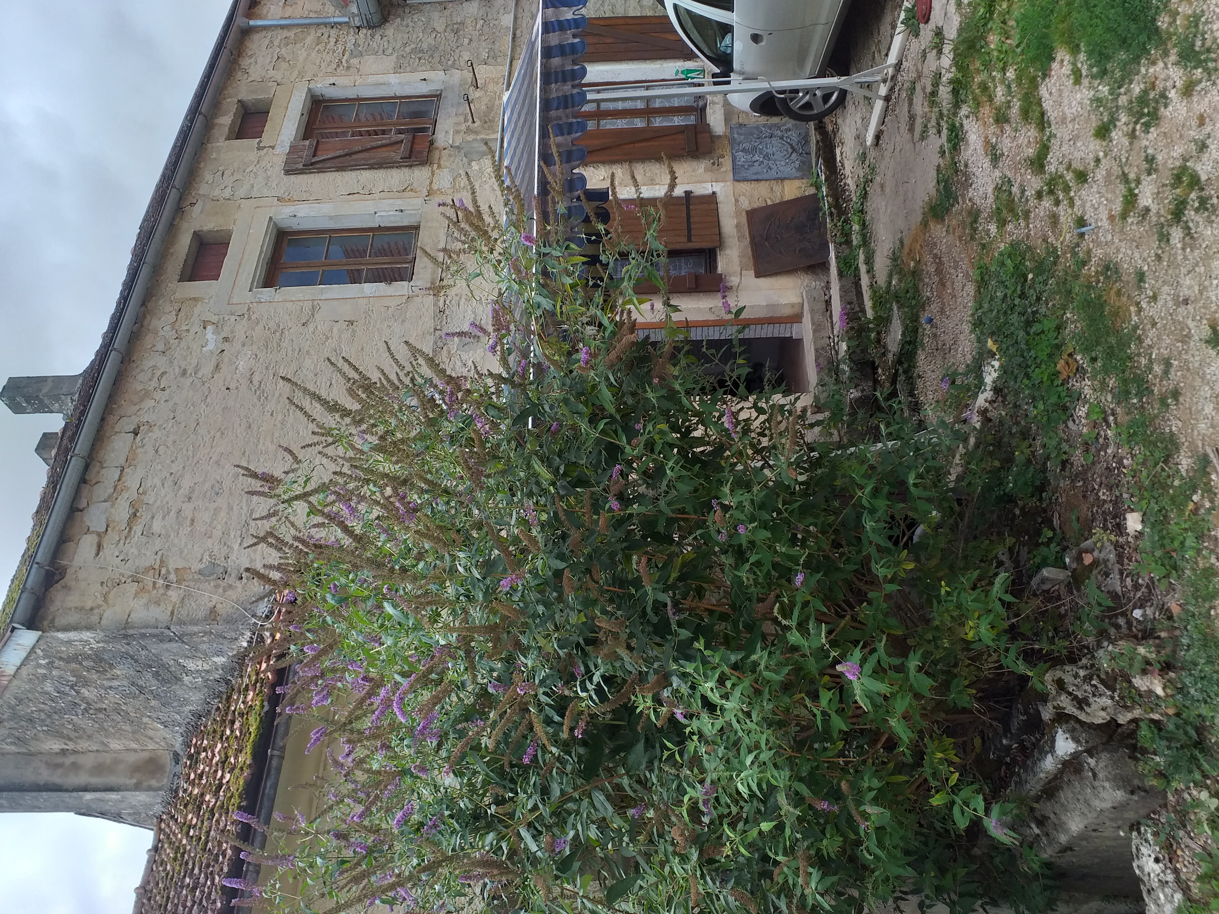 a vendre fonds de commerce +murs et maison d'habitation 
pour cause de santé
Bon chiffre d affaires
Axe très passager
Village dynamique