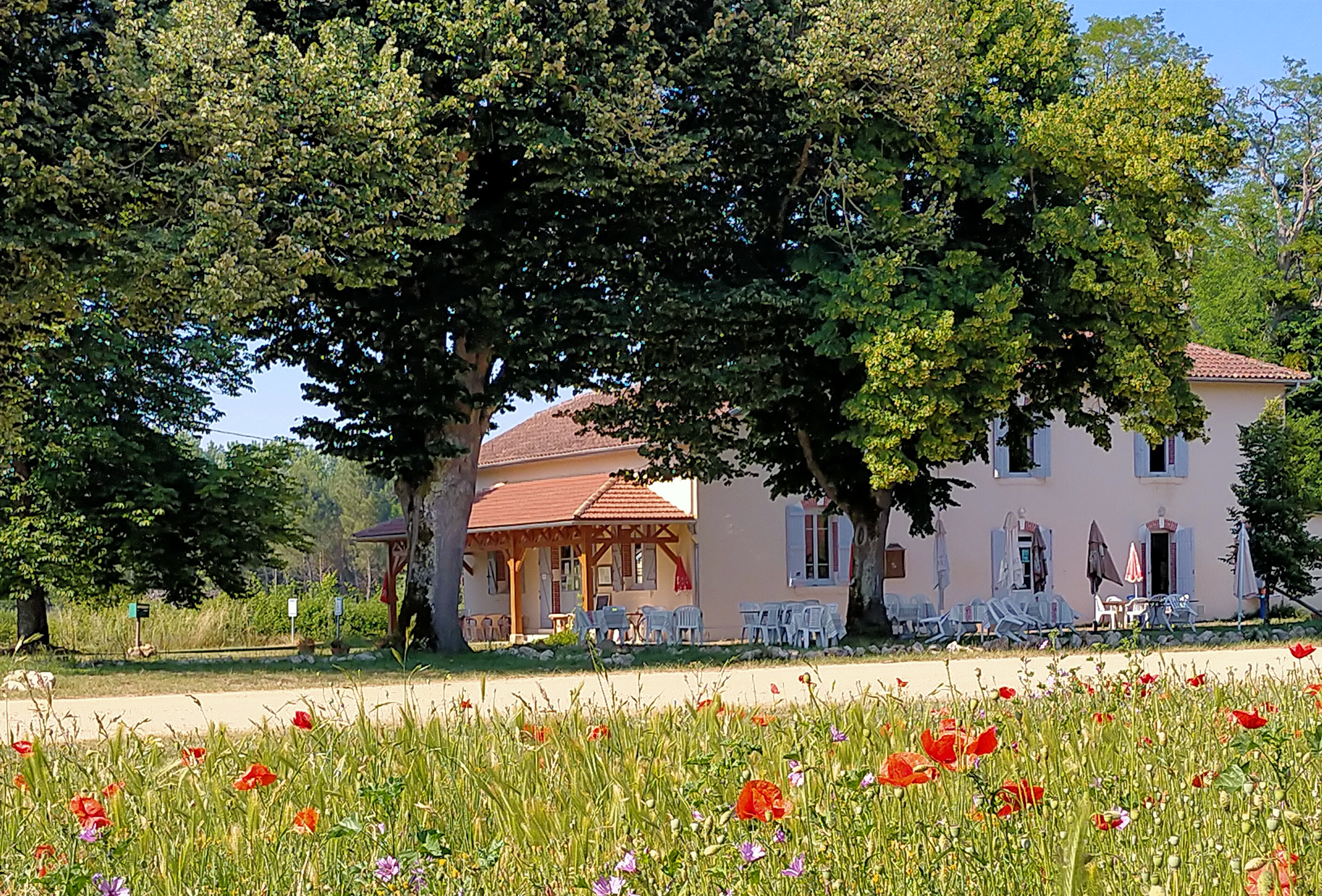 URGENT

À vendre cause retraite, ce fonds de commerce restaurant est situé dans le village d’Escalans, dans le Bas Armagnac, proche d’un village de 1280 habitants avec toutes commodités, à 15 minutes du Centre Thermal de Barbotan-Les-Thermes et à 45 minutes de Mont-de-Marsan.
L’établissement a été complètement rénové et mis aux normes ERP en 2006 et régulièrement entretenu. Vous pourrez donc vous installer dans un local parfaitement adapté.
Il n'y a donc ni travaux ni investissement à prévoir.
Accueil de la clientèle : deux salles, un auvent, une terrasse aérée et à l’ombre de tilleuls centenaires, face à une église romane.
Cuisine : Espace chaud, espace froid, espace dessert. Possibilité de créer un laboratoire de traiteur. Deux réserves.

Cette ancienne auberge est une institution locale existant depuis près d’un siècle avec une clientèle fidélisée de locaux, curistes, résidents anglais et belges, marcheurs et cyclistes aux beaux jours.

Les murs appartiennent à la mairie avec un loyer de 662.51€ HT/mois incluant un logement de fonction de 90m² situé au-dessus du restaurant. La commune soutient activement ce projet de reprise et est très désireuse d’accueillir idéalement un couple prêt à redynamiser le seul commerce de ce village menacé de fermeture sans repreneurs.

Le prix du fonds est fixé à 45000 euros négociables.