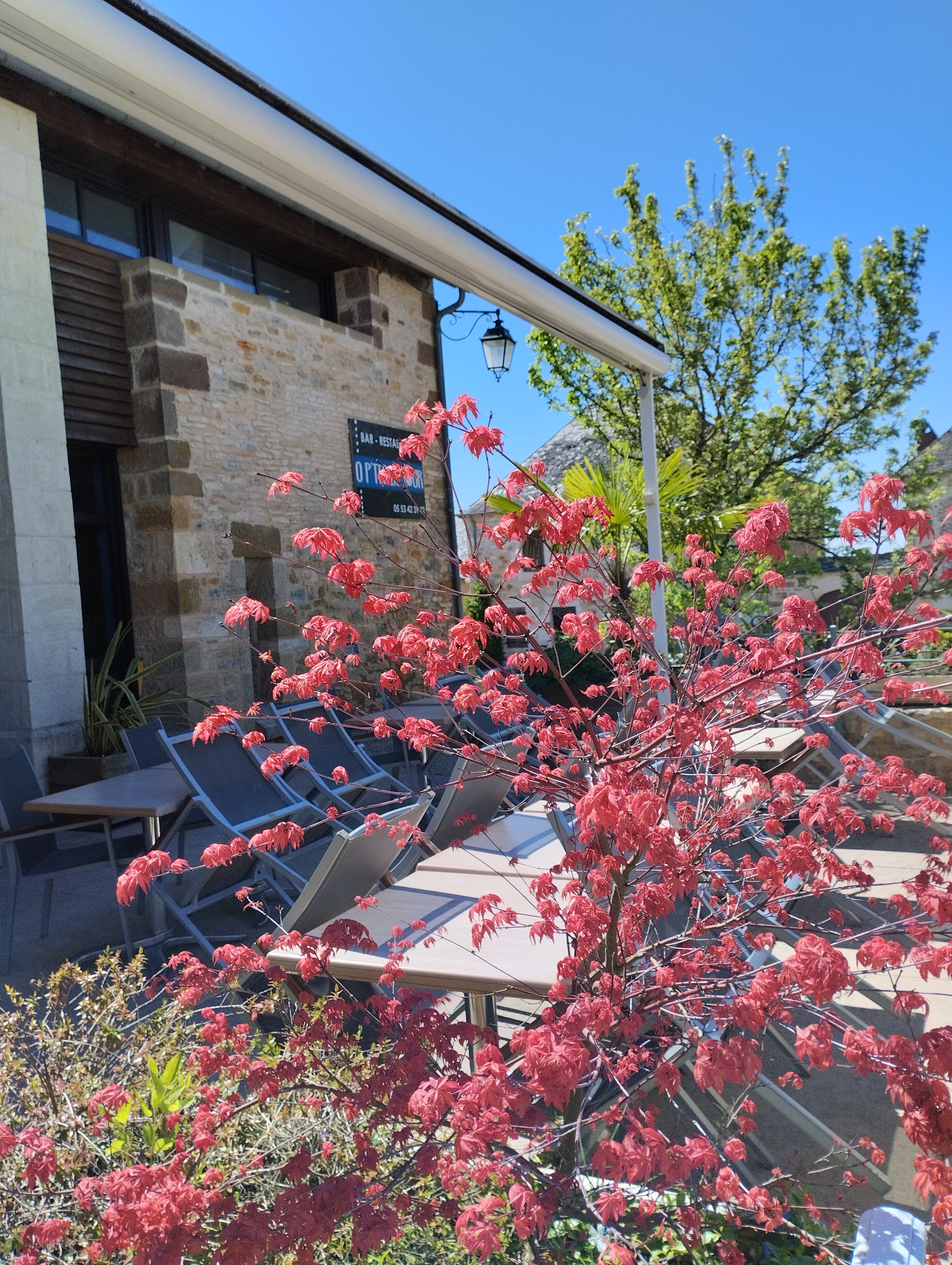 A reprendre, pour cause de changement de région, restaurant-bar situé au cœur d’un village typique de la Dordogne, à l’entrée du Périgord Noir et de la vallée de la Vézère, proximité échangeur de l’autoroute A89 et à 10 km d’un chef-lieu de canton bénéficiant d’un équipement commercial et de services complets.

Bel établissement rénové en 2020, dans une bâtisse de caractère, en pierres apparentes.

Salle de restaurant d’une capacité de 40 couverts (possibilité jusqu’à 50) dans une ambiance chaleureuse et cosy, avec coin salon en période hivernale.

Terrasse d’une capacité de 30 couverts

Cuisine traditionnelle « bistronomique » (note Avis google de 4,9/5) - Ticket moyen de 35 à 42 €

Les murs et la licence IV appartiennent à la mairie qui a consenti un bail commercial avec un loyer mensuel modéré de 373 € HT – Possibilité de logement

CA 2022 : 115 000 € HT – Fort potentiel sur la période d’ouverture (hors saison, l’établissement est ouvert entre 3 et 4 jours par semaine).

Prix du fonds de commerce : 84 000 €