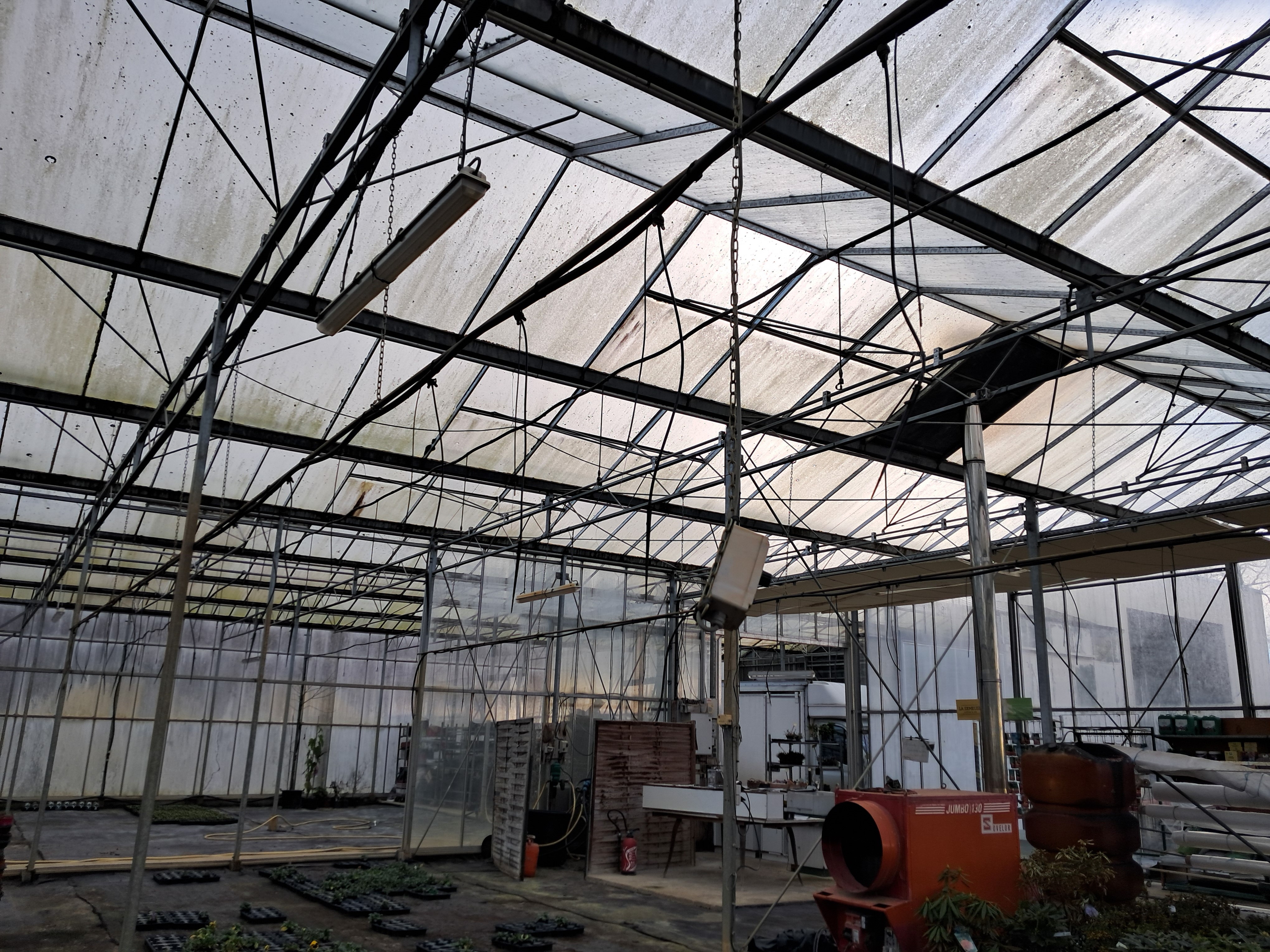 Exploitation horticole à vendre avec emplacement facile d'accès, un cadre agréable, en vente directe, outil qui peut s'adapter à d'autres productions. 

Localisation : département de la Manche, proche de Mortain-Bocage.

Exploitation :
- Type d'installation : individuelle
- Mode de cession : tout en vente
- Activité : culture sous serres et tunnels, pépinières, horticulture,  maraichage
- SAU : 3,00 ha
- Logement repreneur : logement à trouver

Foncier : exploitation horticole serre de 2 400 m2 en verre de 1999 et 2006 : 
- ouverture automatique selon une température définie
- arrosage automatique
- chauffage avec 3 chaudières fuel
- couloir bétonné 
- bâtiment fonctionnel, en bon état
- avec magasin
- bureau
- grande cour bitumée
- parc matériel (camion, tracteur, broyeur, caisse, pulvérisateur, remorque horticulteur)

Pour plus de détails, vous pouvez nous contacter au numéro affiché.