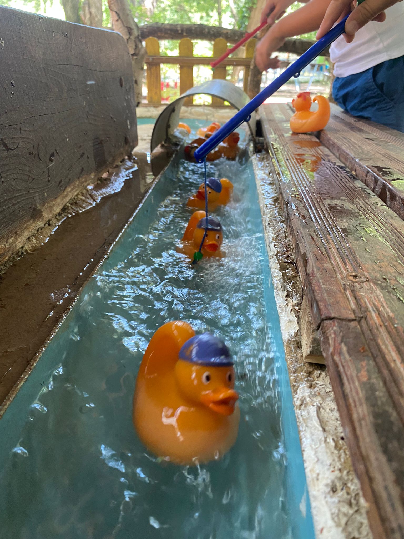 À VENDRE : 
PARC  de LOISIRS  AVEC GUINGUETTE .
​Saisissez l'opportunité de reprendre une affaire insolite, clé en main et bénéficiant d'une excellente réputation !
​Sur un magnifique terrain arboré de 2 hectares, le parc attire une clientèle familiale et touristique en quête d'originalité et de dépaysement.
​ UNE RÉPUTATION SOLIDE
​L'affaire est saine et très bien établie. 
Nous bénéficions d'excellentes notes sur Google et TripAdvisor, témoignant de la qualité de l'accueil et du site. 
Vous reprenez une activité avec une image de marque déjà forte.
​LA GUINGUETTE
​Le parc dispose d'une Guinguette chaleureuse qui assure la partie restauration et buvette, offrant un fort potentiel de chiffre d'affaires complémentaire (goûters, déjeuners, soirées à thème).
​Ouverture d'avril à octobre (7 mois/an), offrant un parfait équilibre vie professionnelle et  personnelle.
L'affaire est idéale pour être gérée par un couple ou en famille.
​Cause de la vente : Départ à la retraite et déménagement de région 
Le parc offre encore de nombreuses possibilités : accueil de groupes scolaires, séminaires ....
​Prix de vente : 50000€
Localisation : Aiguèze / Gard 
​Nous sommes à votre disposition pour vous accompagner lors de la reprise et vous transmettre notre passion pour ce lieu unique.