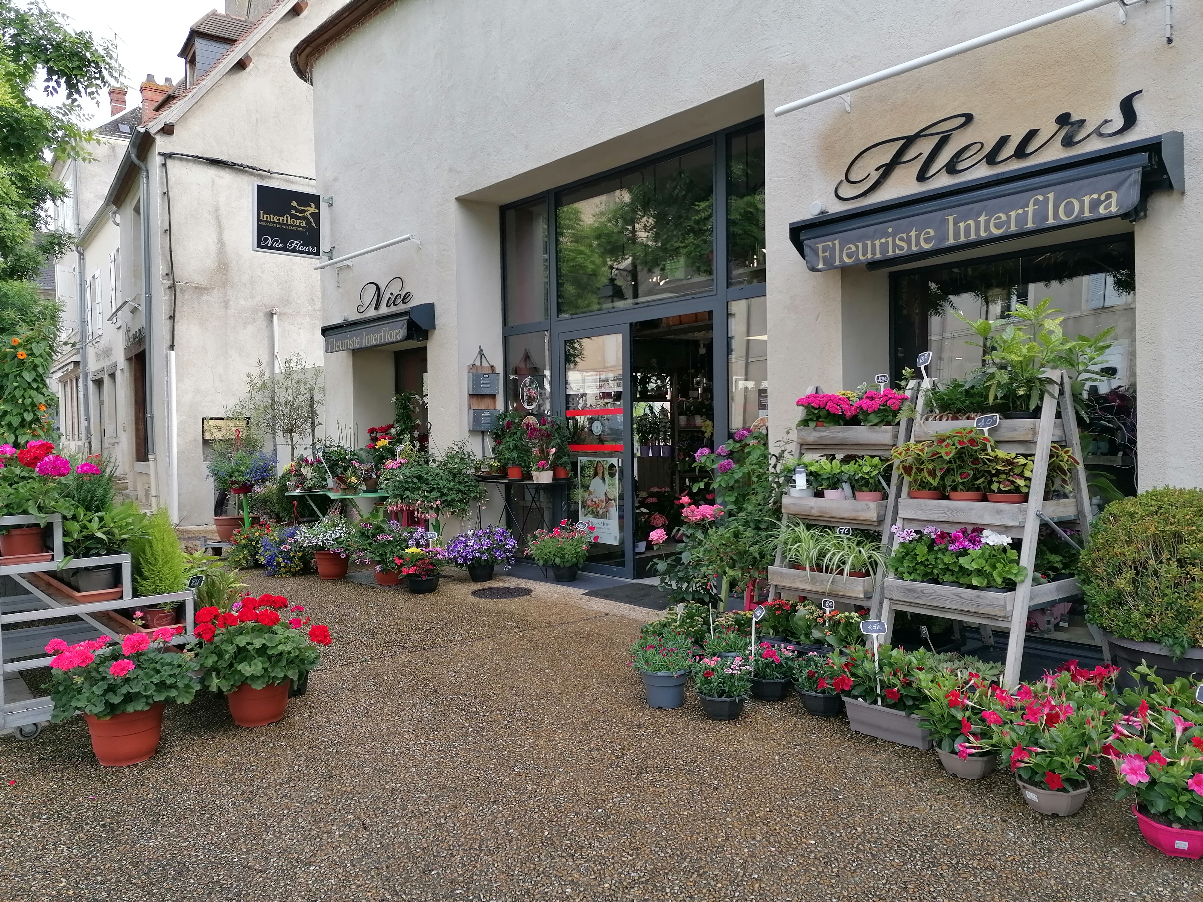 Situé dans la charmante ville de Dun sur Auron, à mi-chemin entre Bourges et Saint Amand Montrond, ce magasin de référence locale offre une occasion unique de pouvoir commencer ou de poursuivre une activité florale dans un environnement agréable et bien équipé.
Ce local conçu en 2017 sur un style industriel , vous pouvez donc profitez d'un établissement récent et fonctionnel.
Surface de vente: 44m2
Atelier: 50m2
Local de réserve: 50m2
Chambre froide
Autres installations: climatisations réversibles, VMC.
Atouts qui font la différence: un grand parking en face de la boutique avec une place de livraison et implanté en centre ville et au beau milieu d'autres commerces