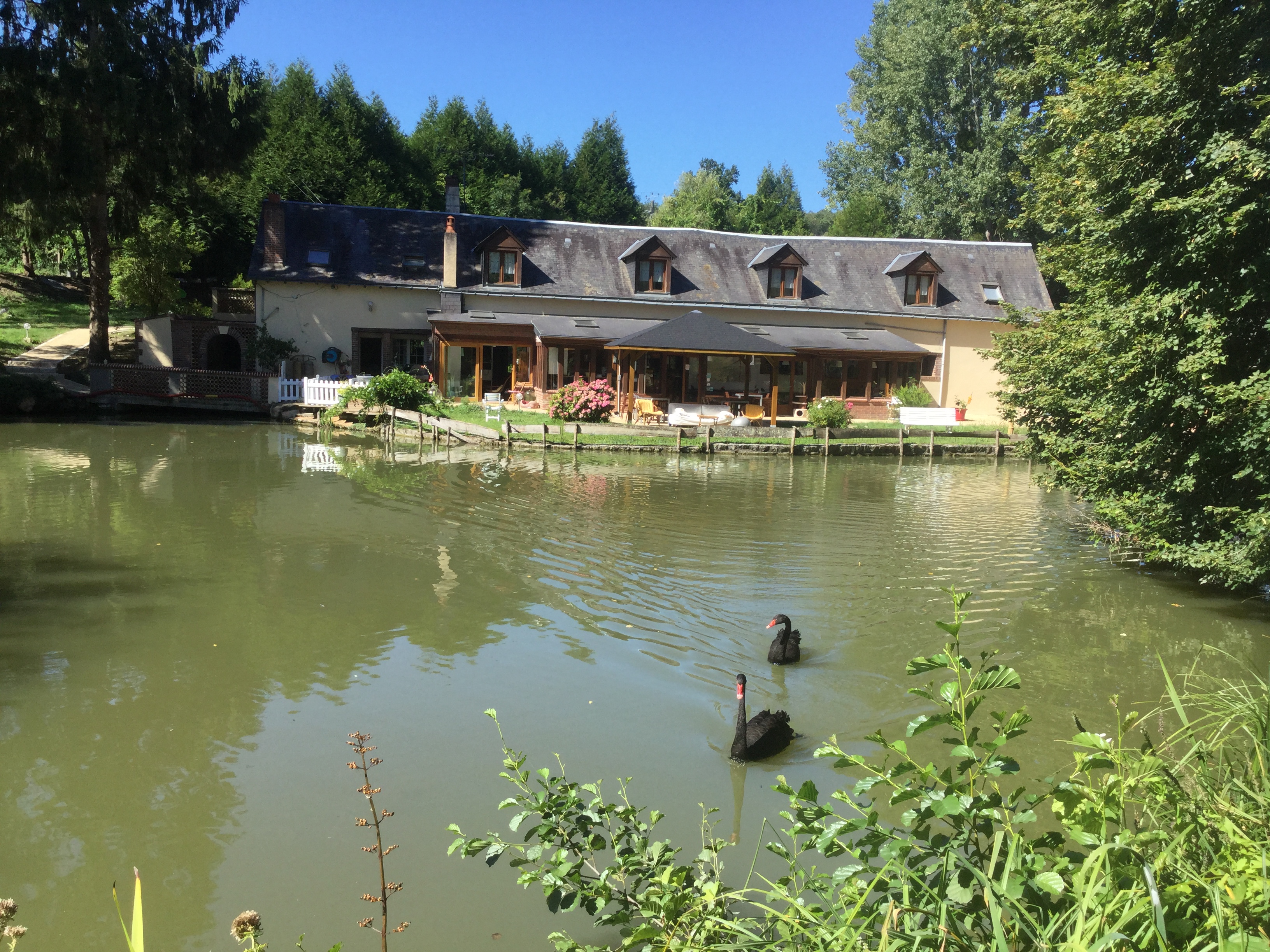 Ancien moulin restauré d'environ 300 m² habitable, niché au calme à Luceau (Sarthe), offrant un cadre paysager rare avec deux étangs et une atmosphère propice à la détente. L’établissement comprend 5 chambres d’hôtes, 1 gîte pour 7 personnes, un spa de nage, un espace spa (sauna, jacuzzi), une salle pour tables d’hôtes et une borne de recharge pour véhicules électriques. L’accueil familial et la réputation d’un service chaleureux sont attestés par des avis clients très positifs. Le site web lemoulincalme.com et les plateformes de réservation assurent une visibilité et une commercialisation déjà en place. 
Demande accrue lors des compétitions sur le circuit du Mans (périodes à forte demande).
Chiffre d'affaires annuel supérieur à 100.000 euros.
La partie privée comprend un salon salle à manger avec insert, une grande cuisine, deux chambres et deux salles de bain.
Le terrain de 12.000 m² permet une extension d'activité (roulottes, tiny house...).