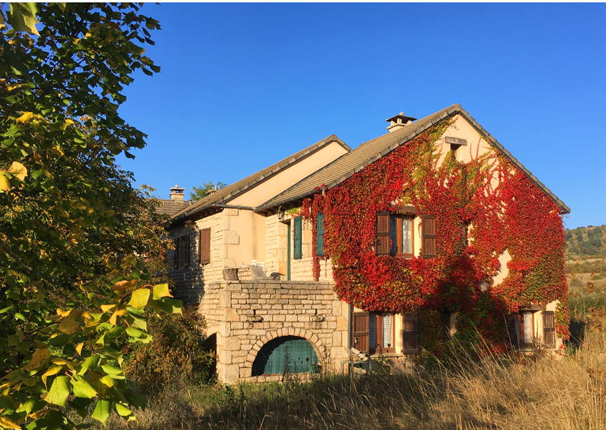 À céder, en Lozère, sur le Causse Méjean, une grande bâtisse composée de 5 chambres d’hôtes, d’un gîte de séjour et d’un logement privé de 100m². Cet établissement se situe aux portes des Gorges du Tarn, à plus de 800 mètres d’altitude. 
Les divers GR à proximité permettent d’accueillir de mars à novembre, de nombreux randonneurs à pied, avec ânes ou chevaux, ainsi que des cyclistes.
C’est dans ce lieu calme et paisible que les vacanciers aiment venir se détendre et se relaxer, tout en appréciant les nombreux atouts touristiques : implanté dans le Parc National des Cévennes (Causses-Gorges), détenteur du label RICE (Réserve internationale de ciel étoilé), brame du cerf, brebis et bergeries, vol des vautours sont littéralement à portée de main. 
La table d’hôtes propose des produits du terroir cuisinés maison. 
Les chambres d’hôtes permettent de recevoir 15 personnes. Le gîte, classé deux étoiles peut accueillir 4 personnes grâce à sa superficie de 30m². 
L’affaire est toujours en activité. Le propriétaire poursuit les embellissements et aménagements réguliers, tout en consolidant ses partenariats, notamment avec des opérateurs spécialisés dans la randonnée. La bâtisse en pierre calcaire, typique du Causse comprend un hall d’accueil, une salle à manger de 50m², une cuisine semi-professionnelle de 20m², 5 chambres d’hôtes, une chambre d’ami, un gîte de séjour et un logement privé composé d’un séjour avec insert de cheminée, deux chambres, une salle de bain, une buanderie et des combles (non aménageables). 
Le terrain arboré de 5 000m² permet d’accueillir des ânes et/ ou des chevaux – label Accueil équestre Lozère. Il offre également un espace de stationnement pour les véhicules, ainsi qu’un cabanon dédié aux vélos et un carport pour les motos - labellisé Accueil Moto Lozère. Ce vaste terrain donne l’occasion de prendre le temps d’admirer le coucher de soleil devant ce bel édifice.

Accompagnement possible par le propriétaire lors de la reprise.

Vente de l’ensemble (fonds de commerce, murs et terrain) : 495 000 €